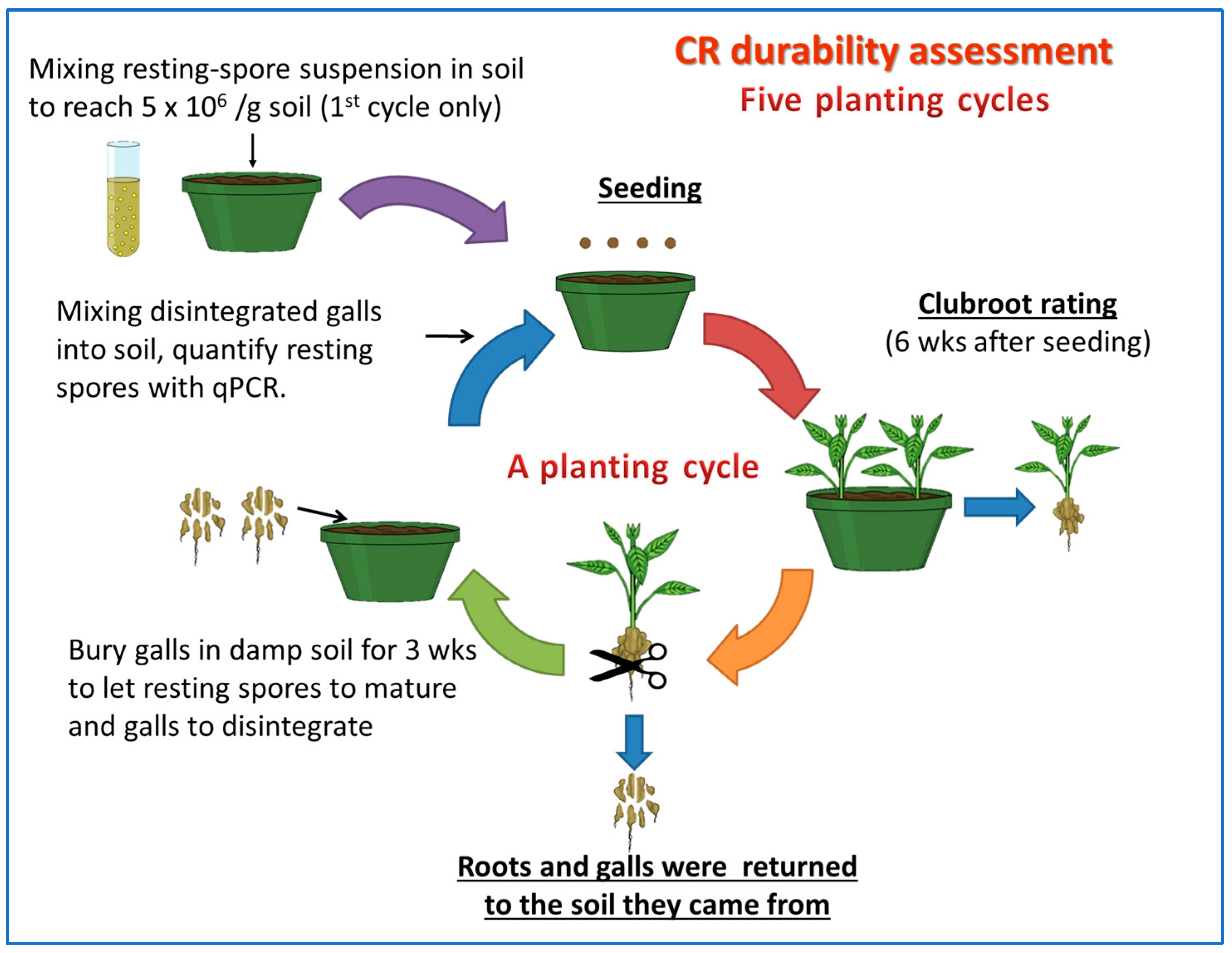 Plants 12 00726 g001