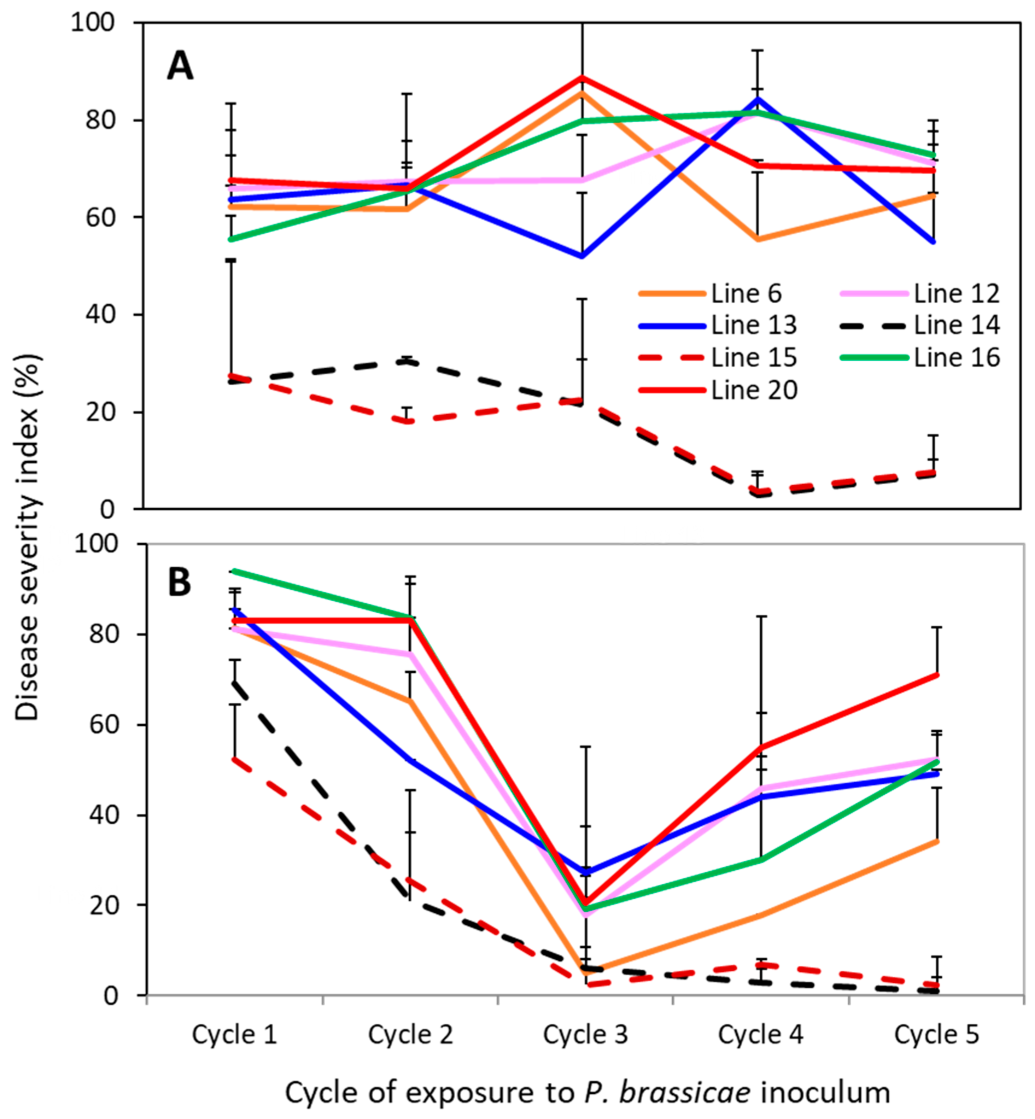 Plants 12 00726 g003