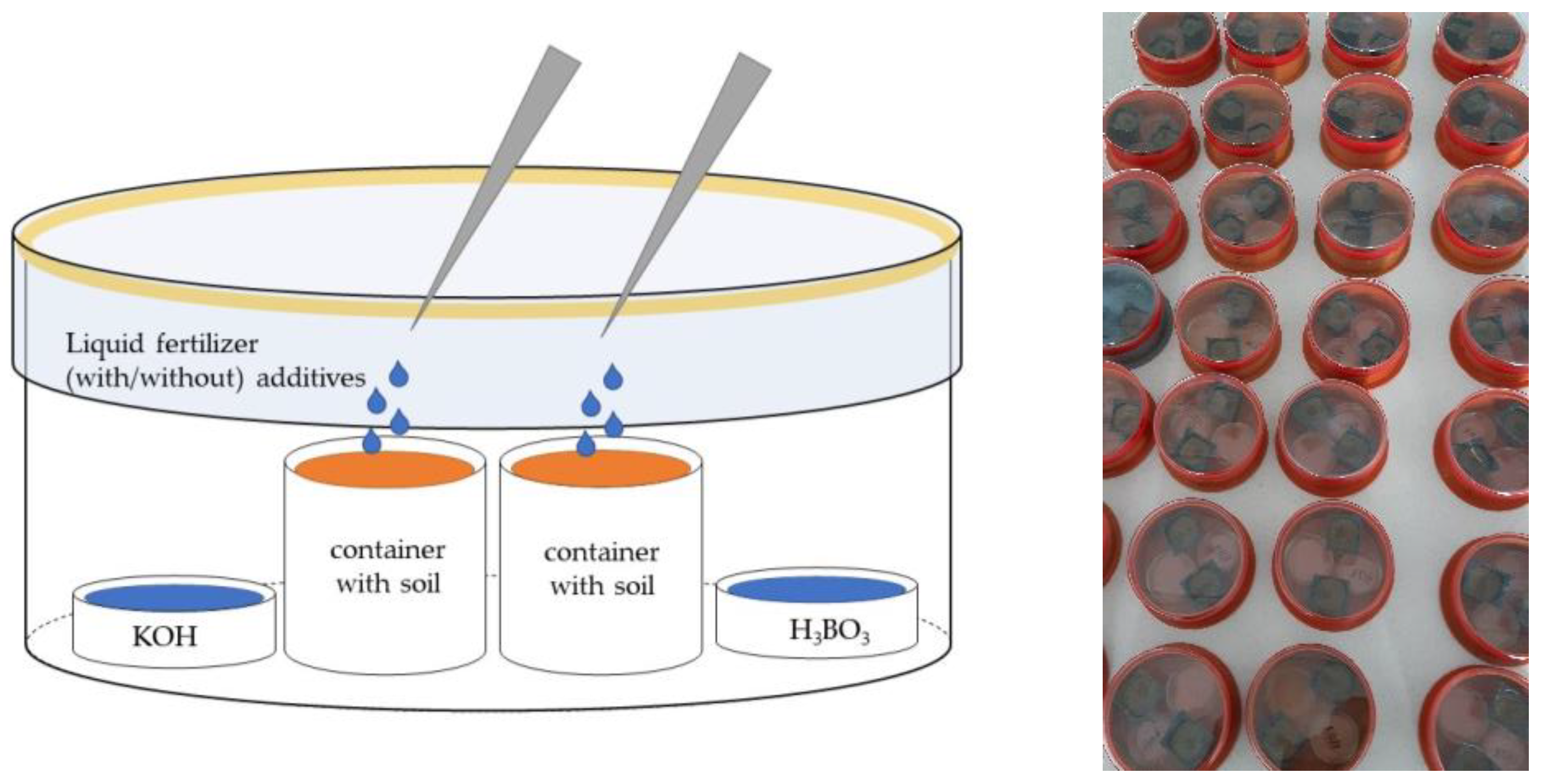 Plants 12 00728 g005