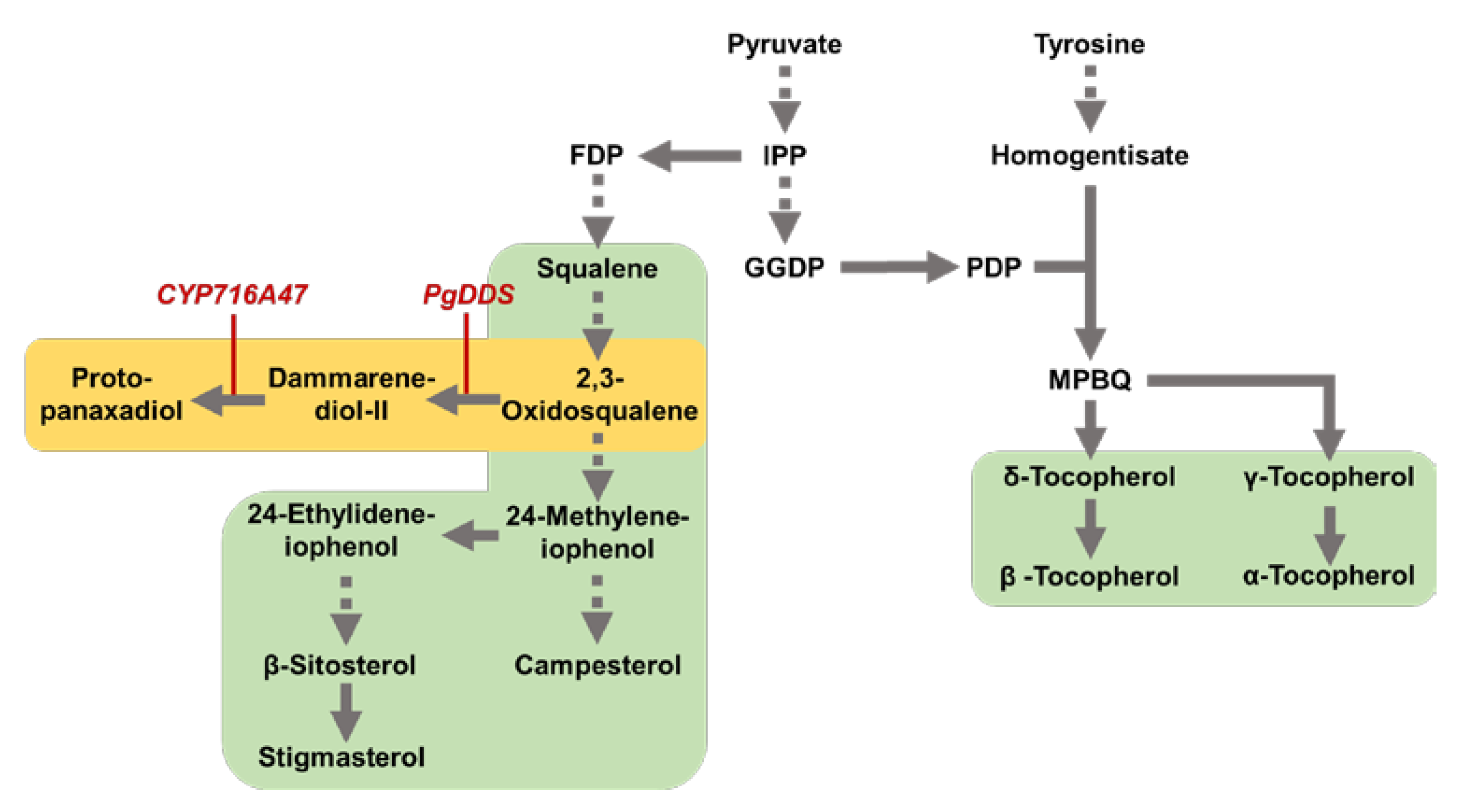 Plants 12 00758 g004