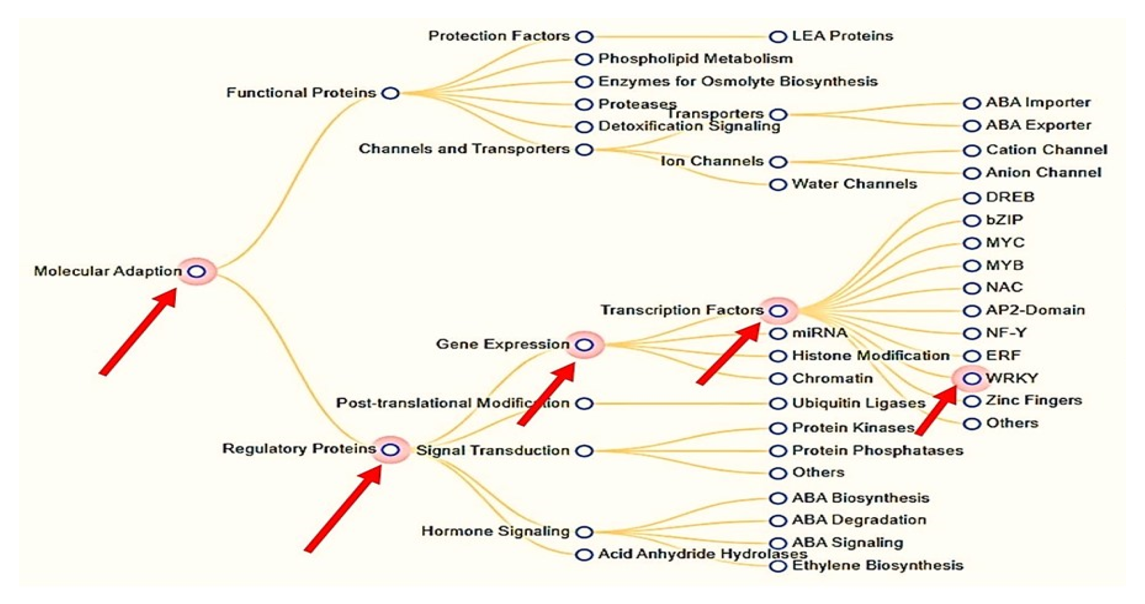 Plants 12 00762 g001 Plants 12 00762 g001