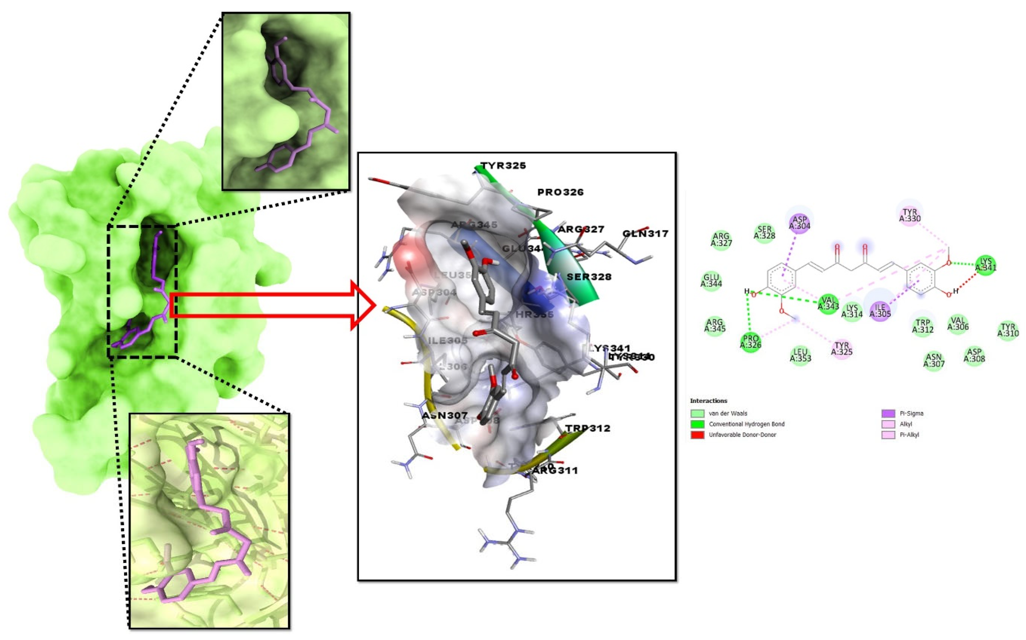 Plants 12 00762 g002 Plants 12 00762 g002