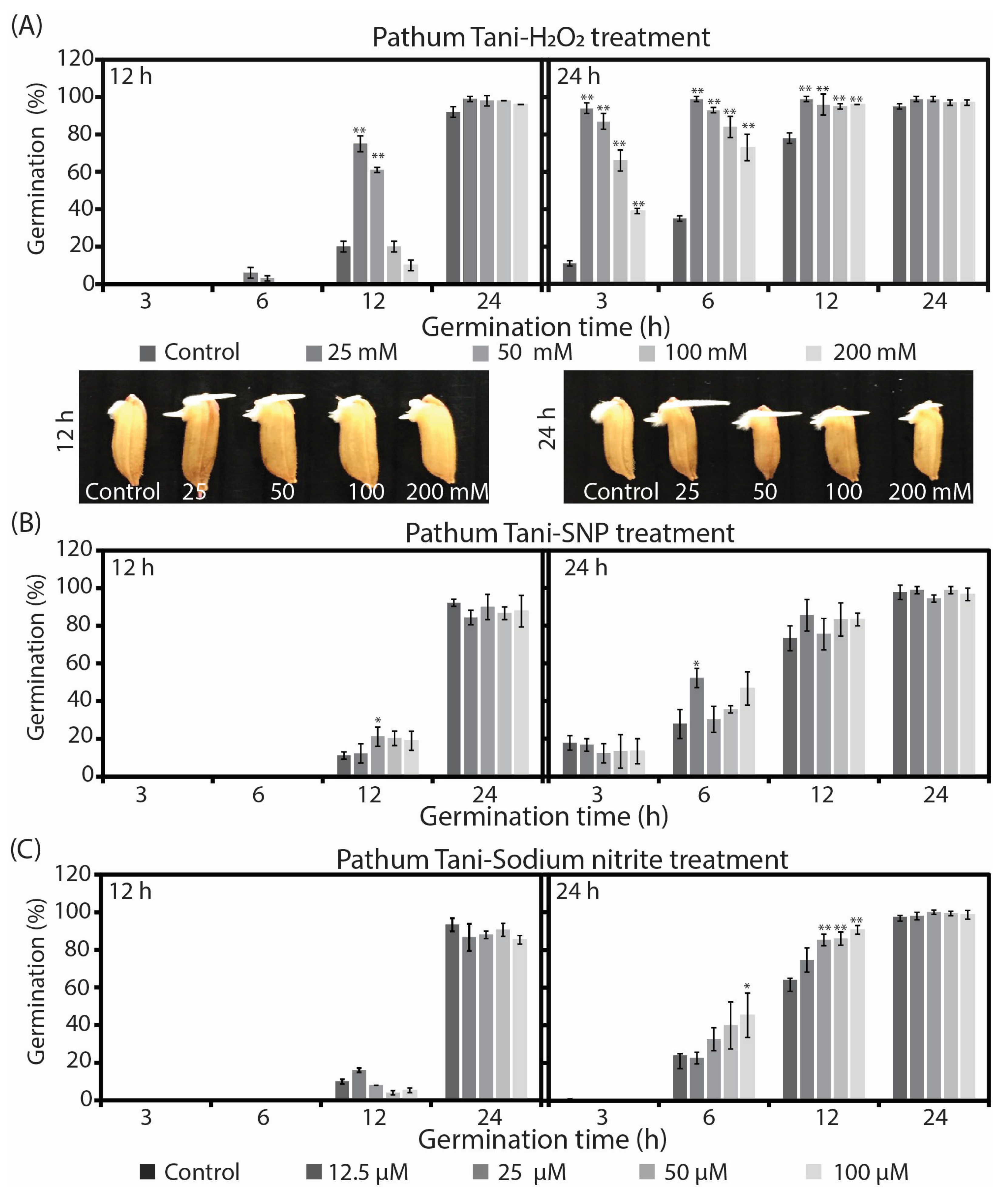 Plants 12 00765 g001