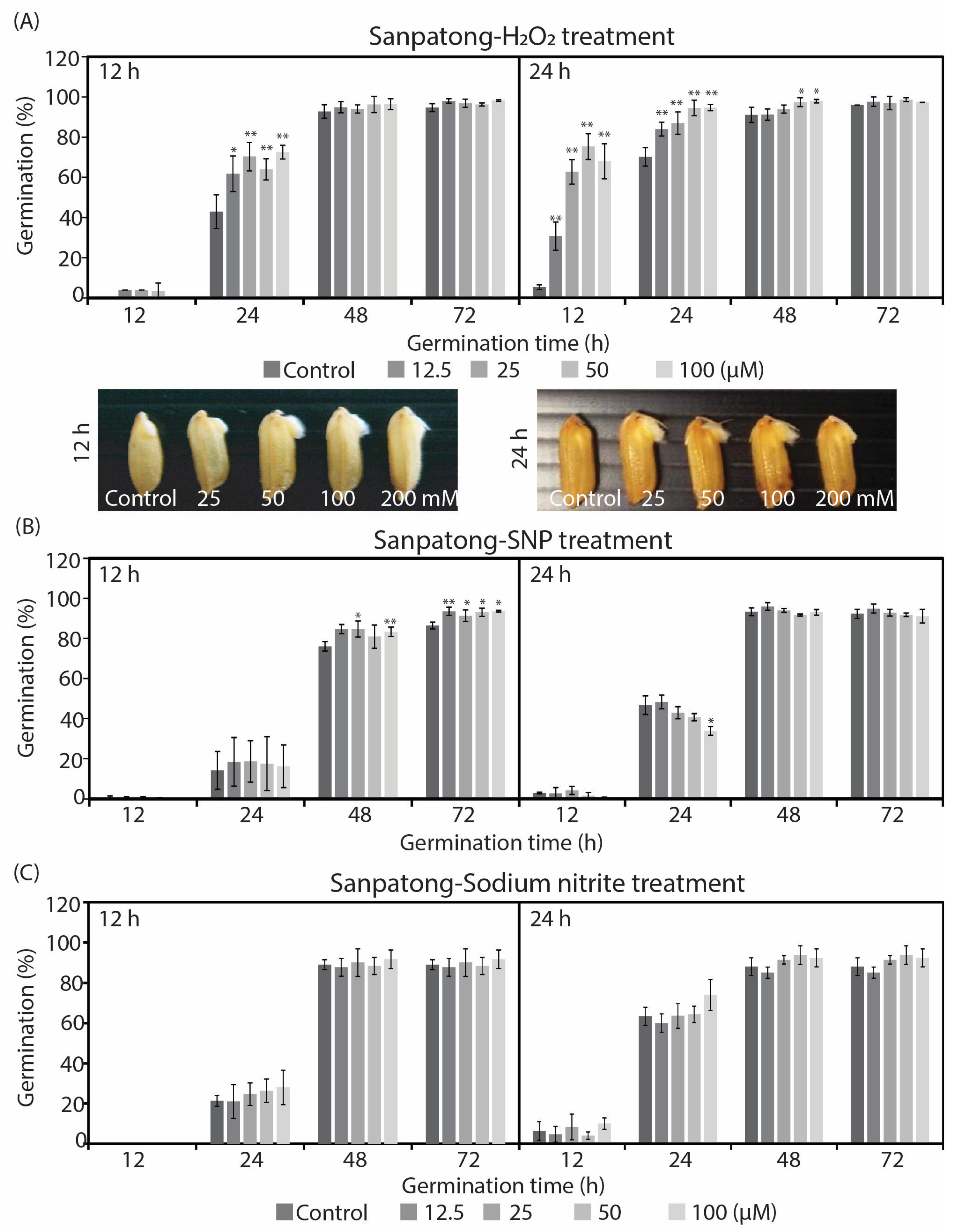 Plants 12 00765 g002