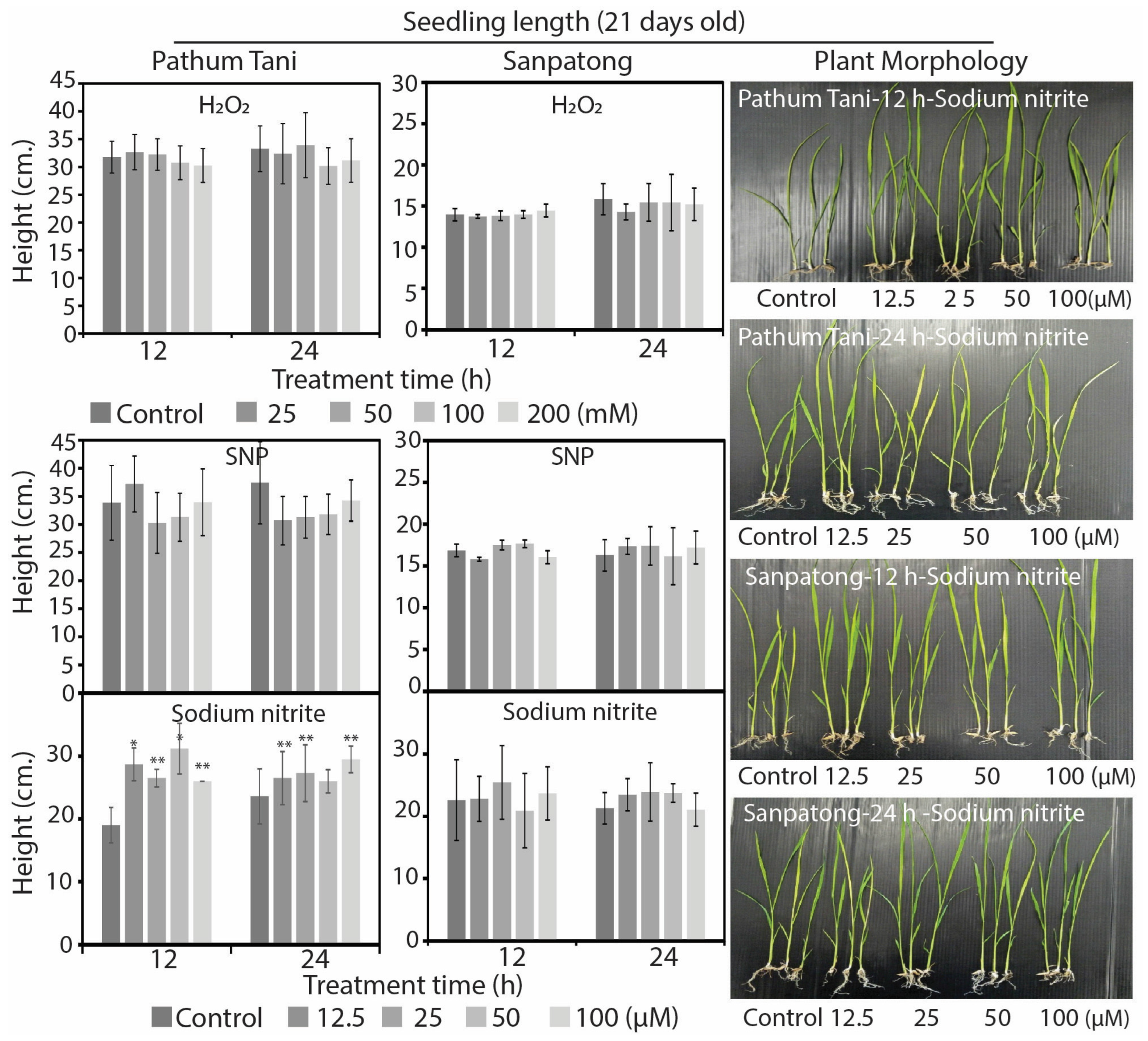 Plants 12 00765 g003