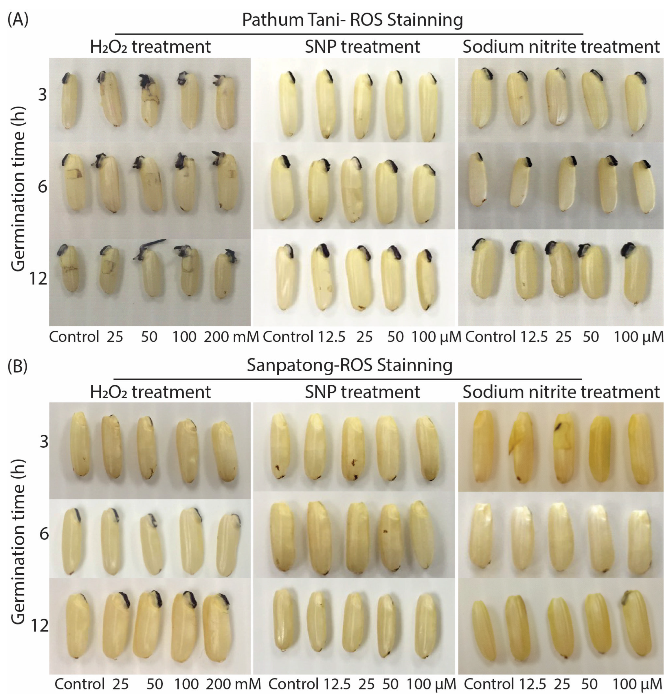 Plants 12 00765 g006