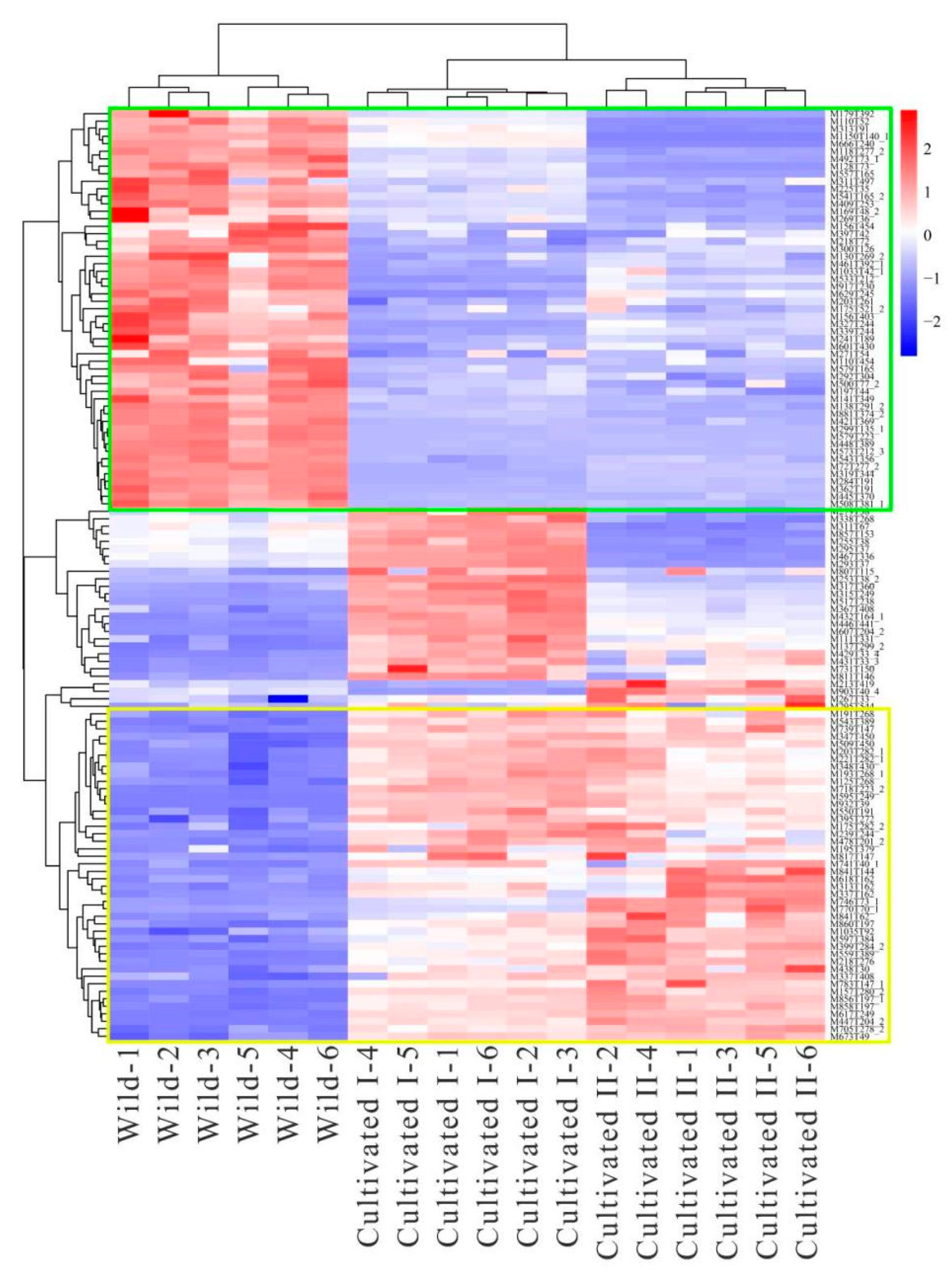 Plants 12 00775 g008