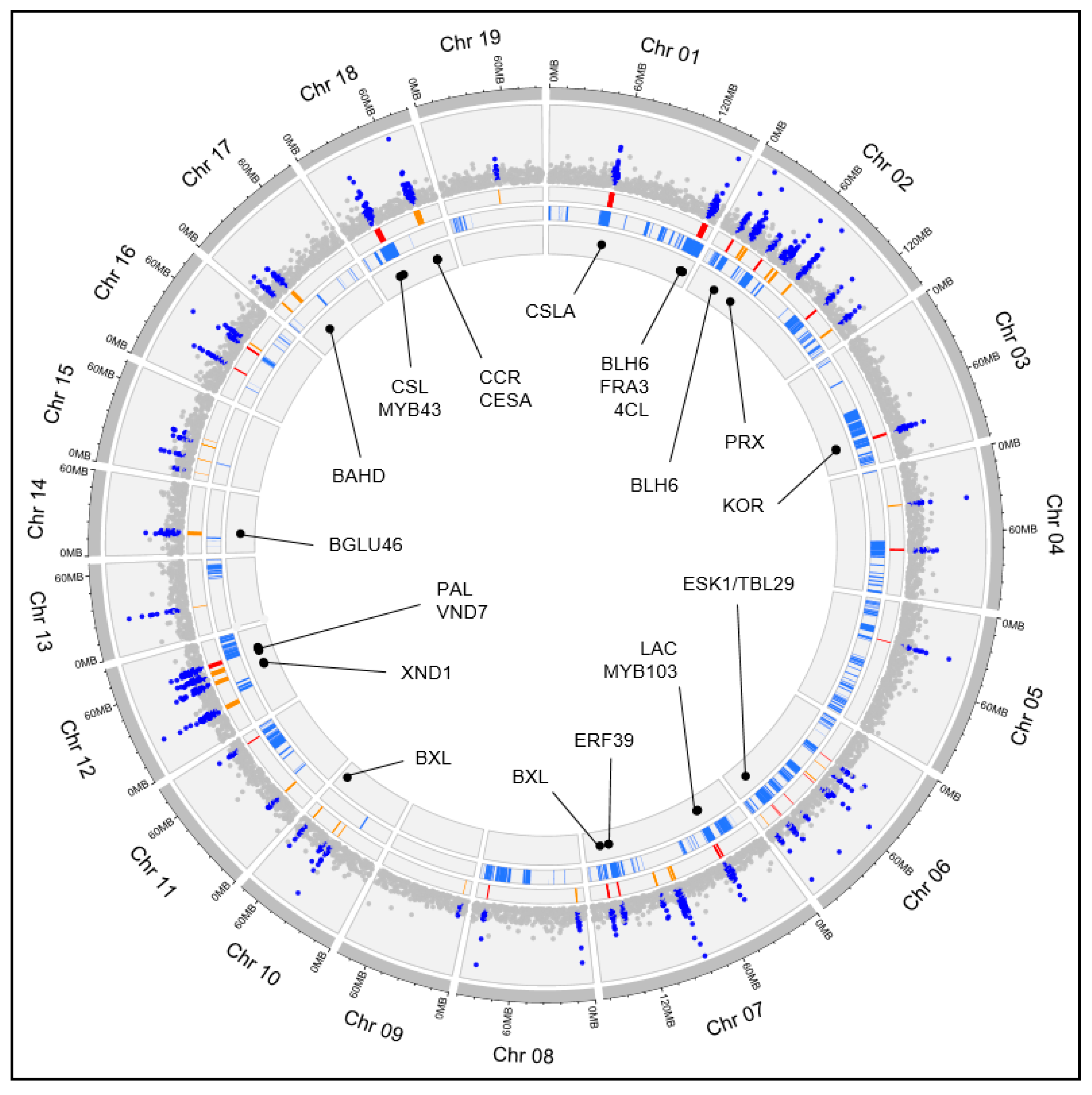 Plants 12 00779 g006
