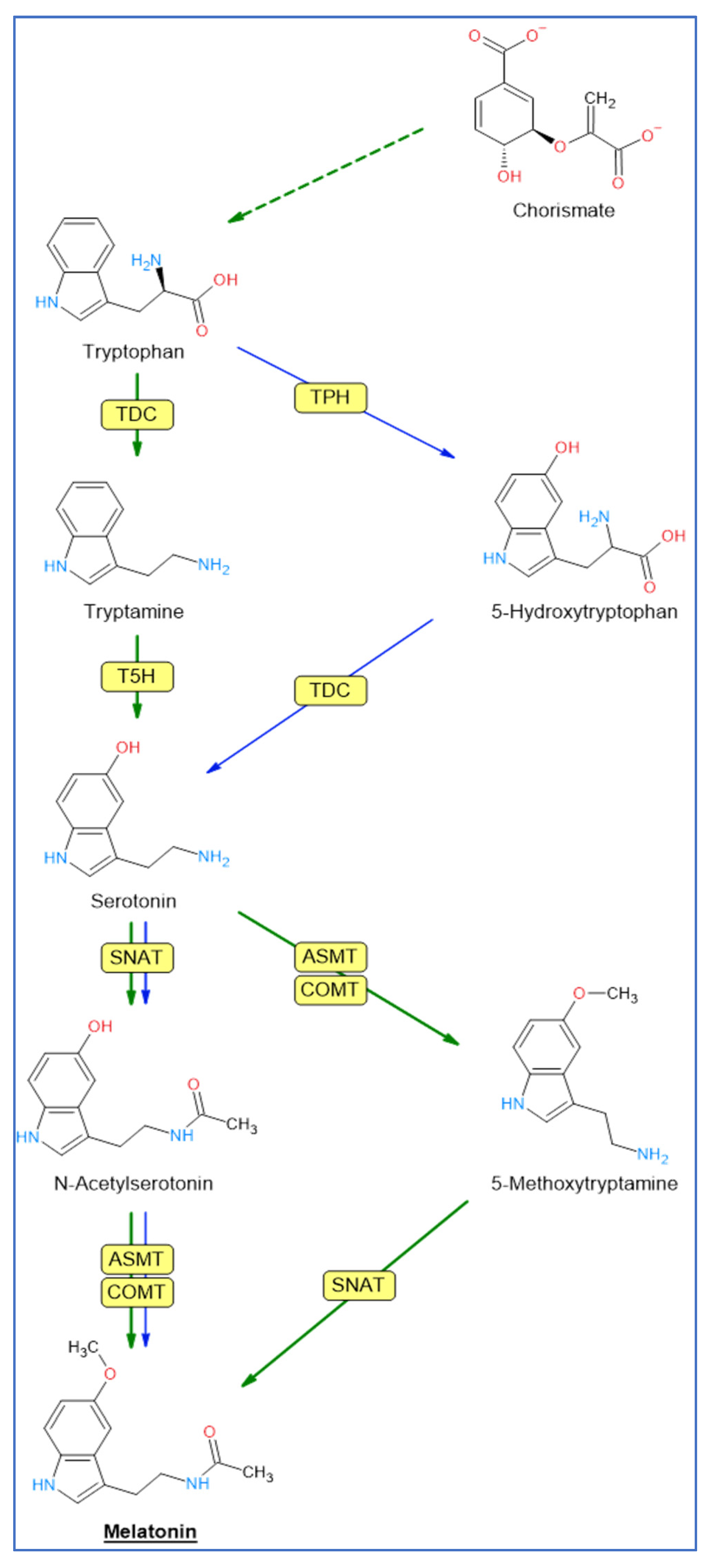 Plants 12 00781 g001