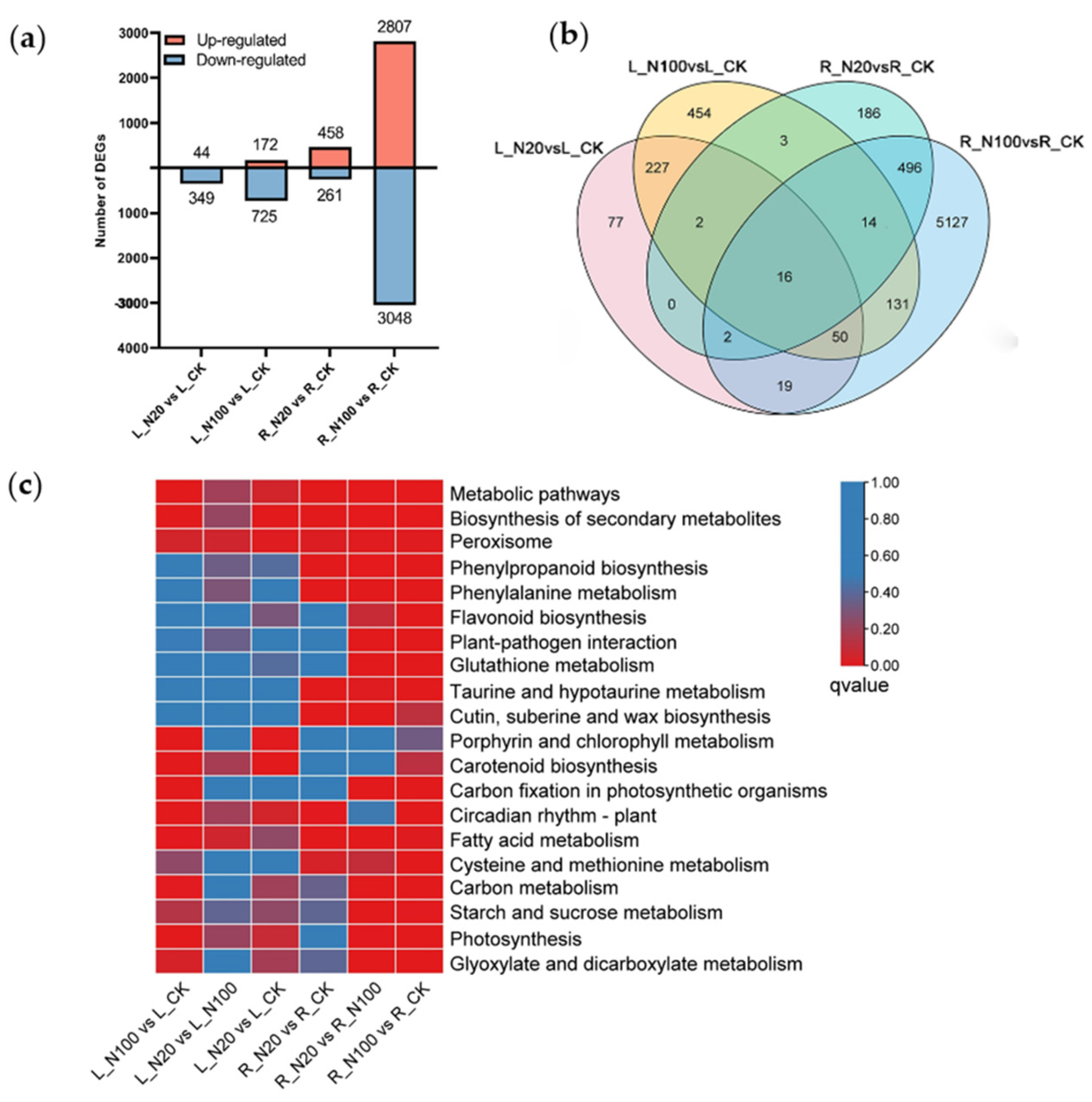Plants 12 00789 g002