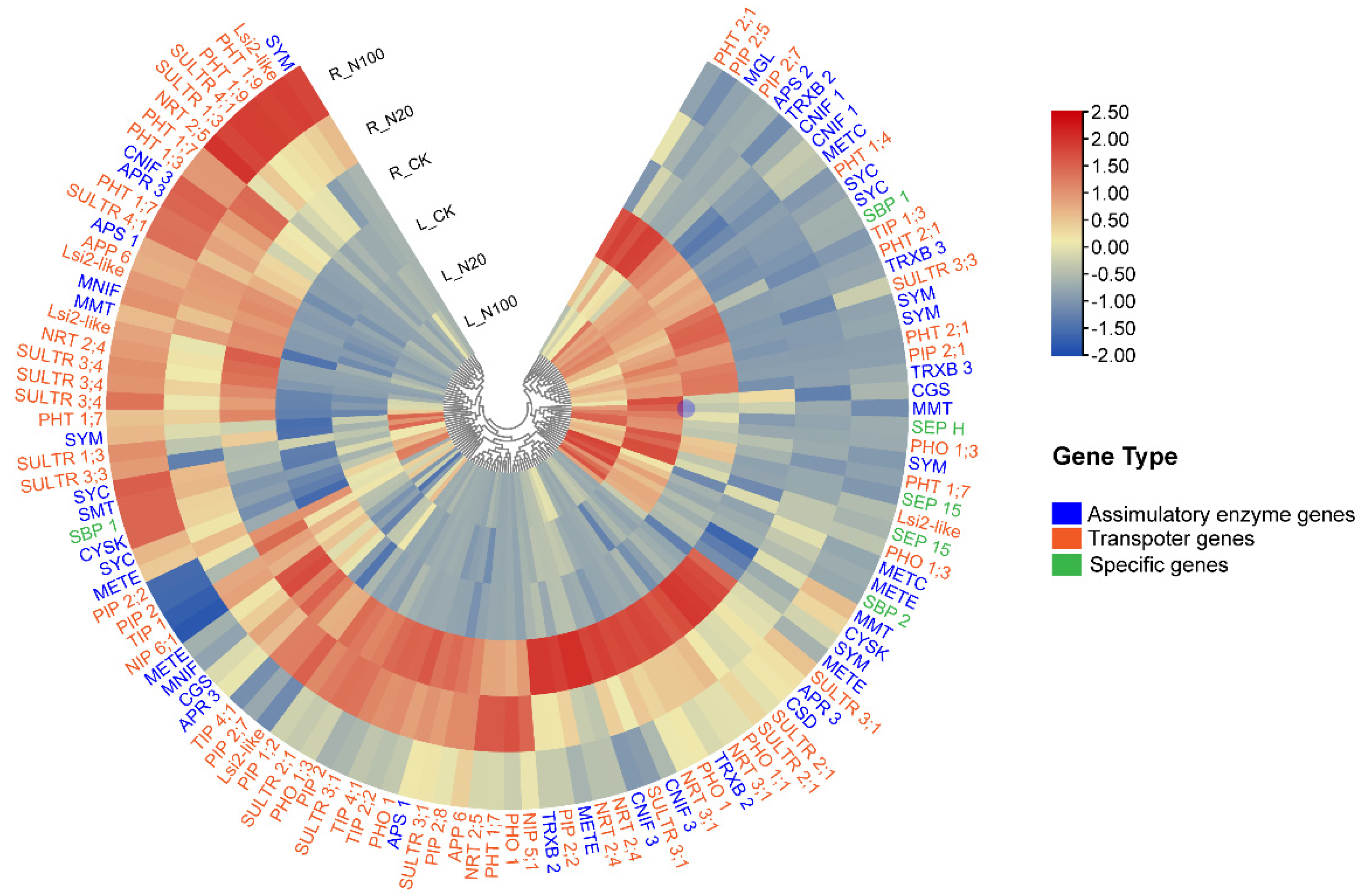 Plants 12 00789 g003