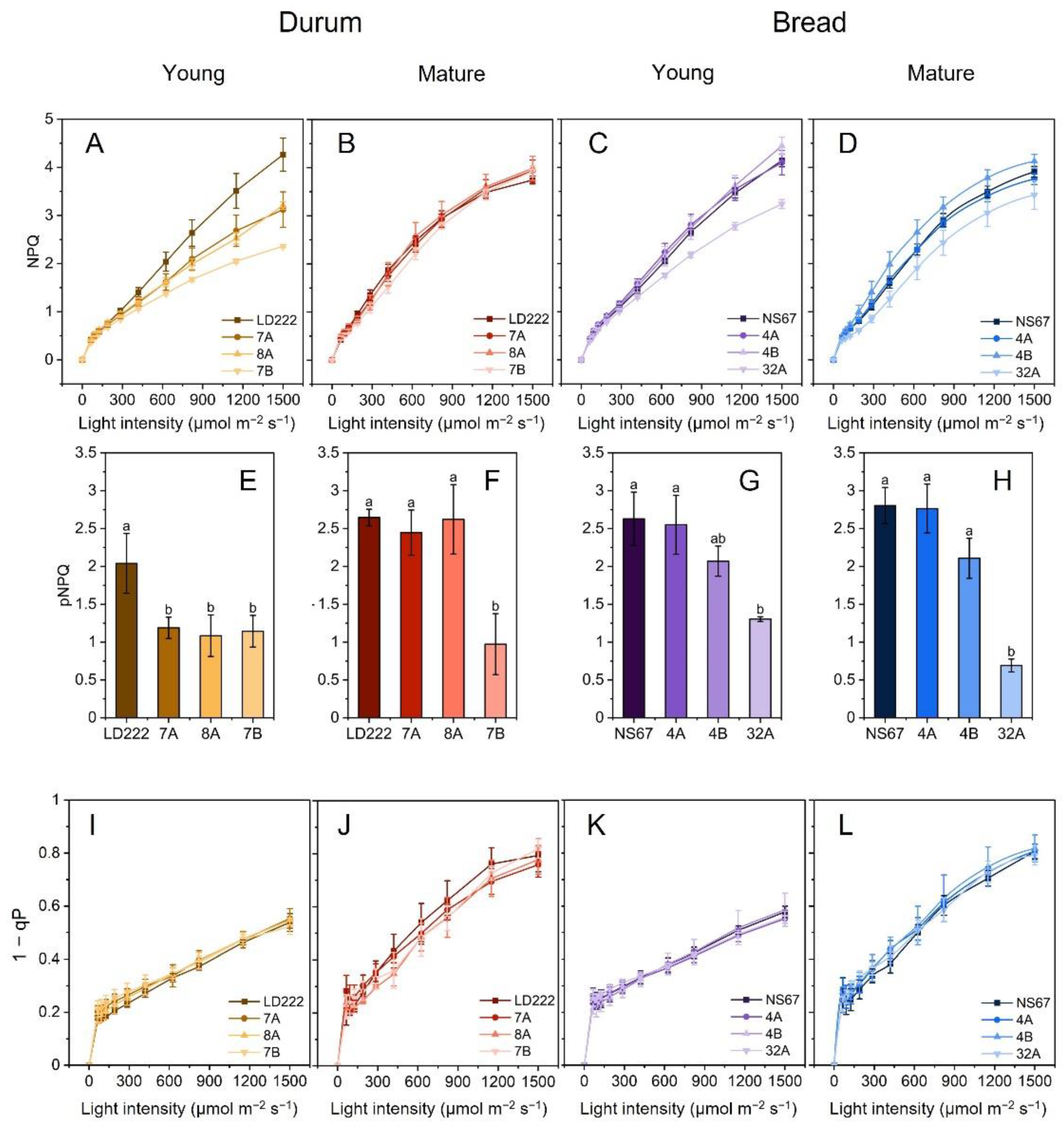 Plants 12 00822 g003 Plants 12 00822 g003