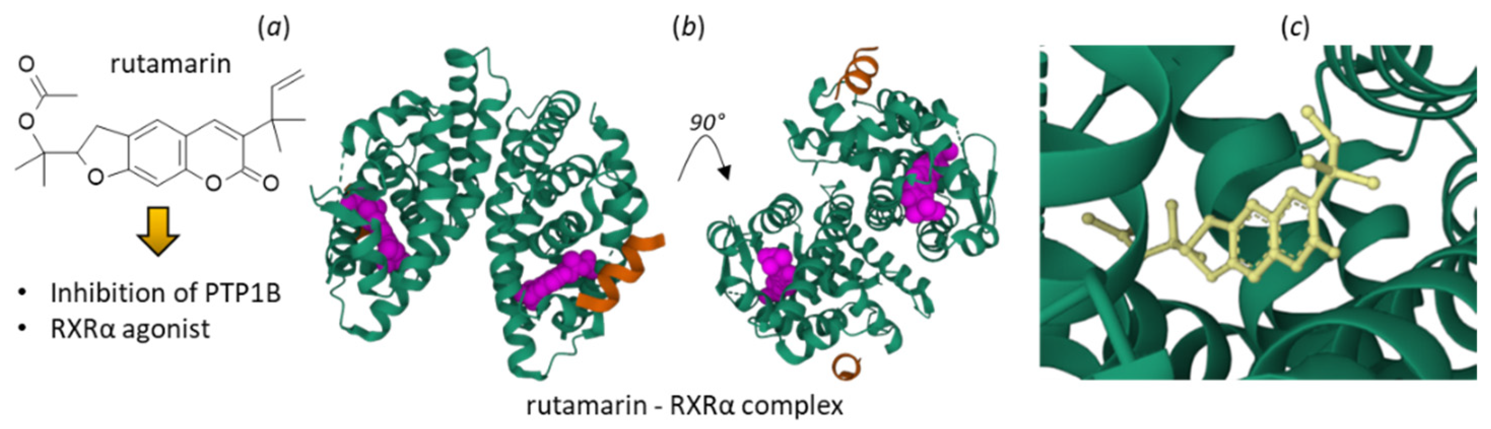 Plants 12 00827 g007 Plants 12 00827 g007