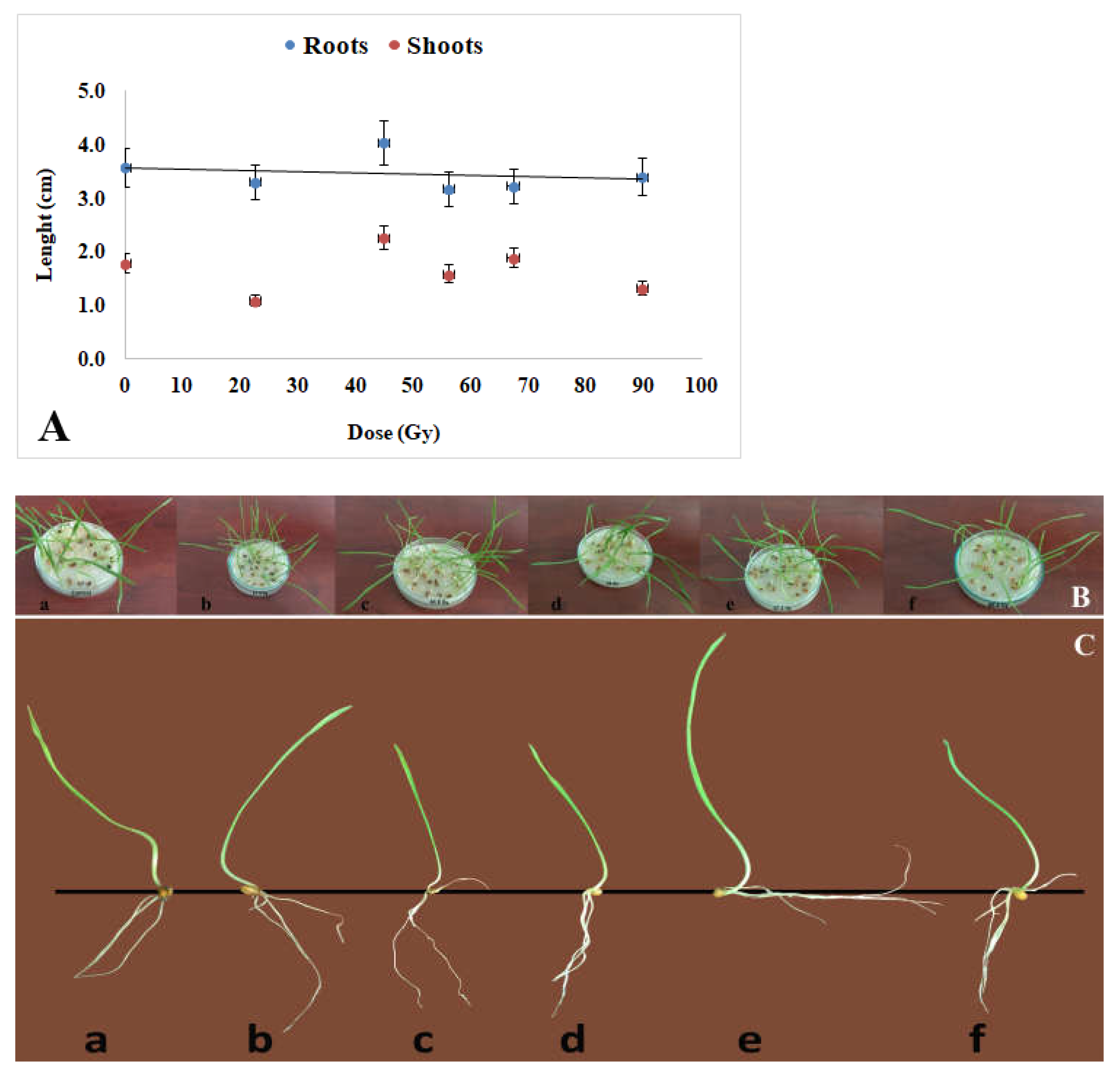Plants 12 00842 g003
