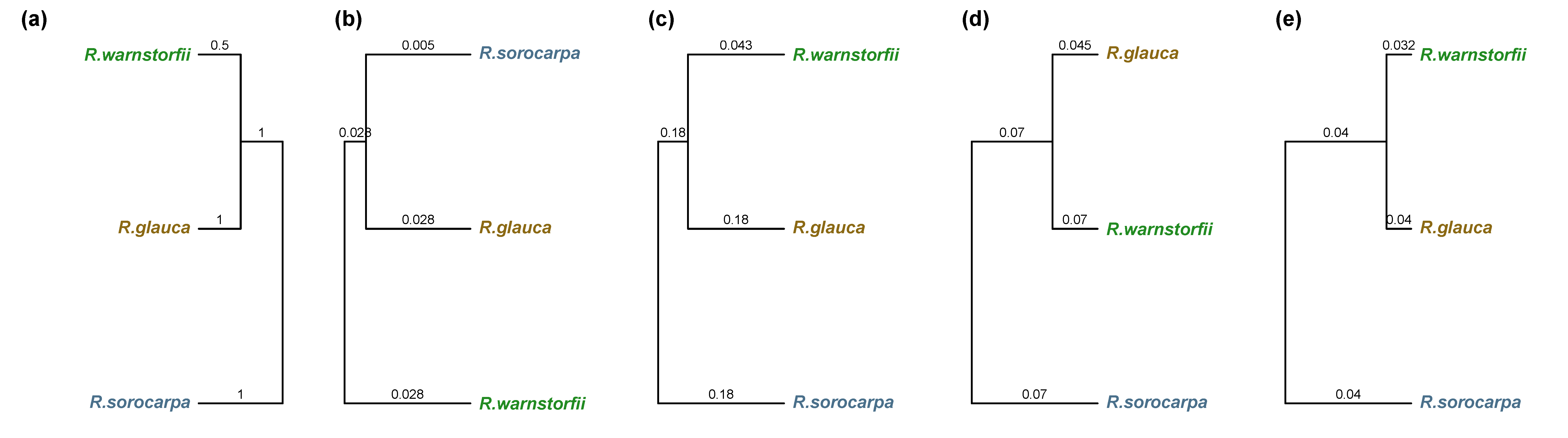 Plants 12 00881 g004 Plants 12 00881 g004