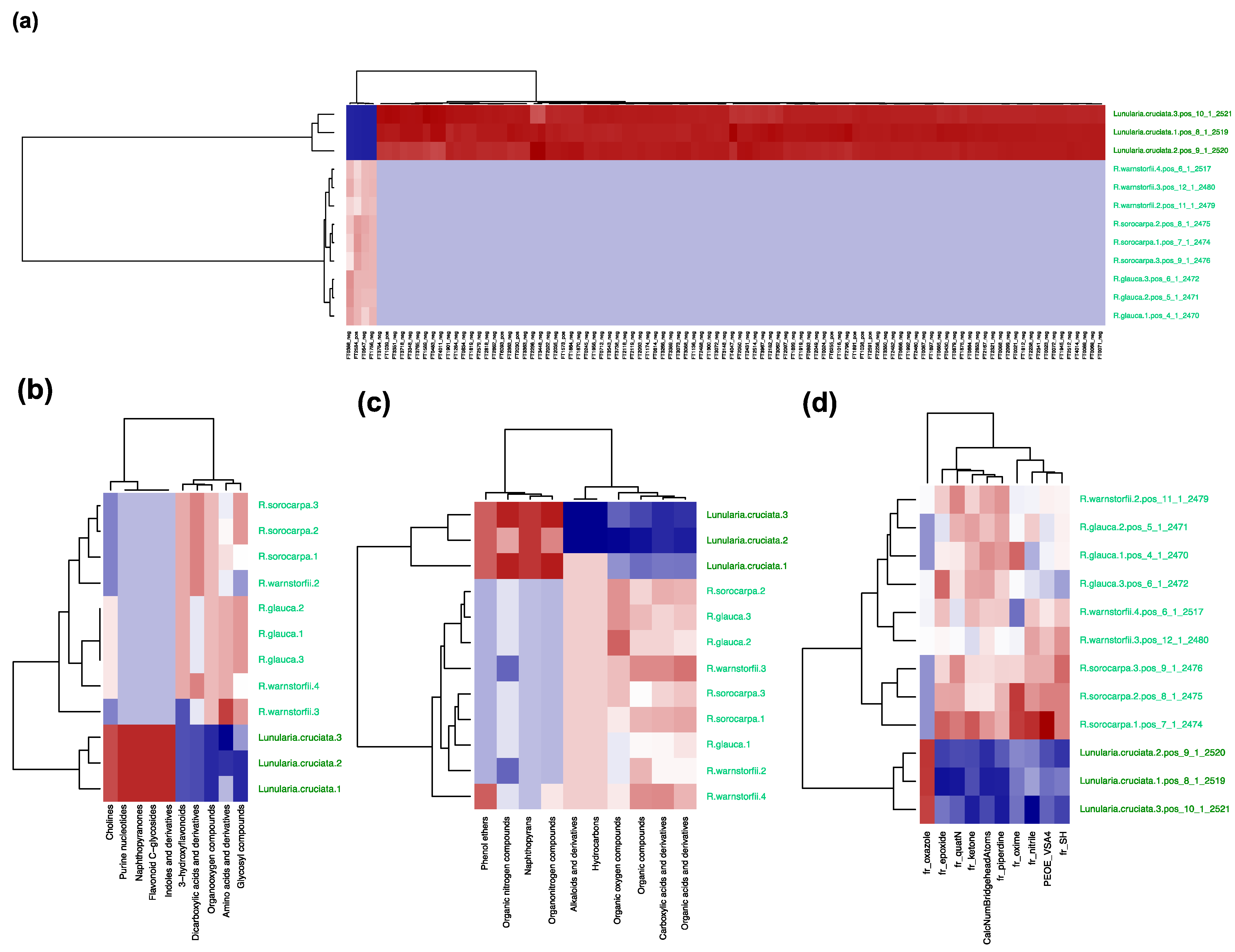 Plants 12 00881 g008 Plants 12 00881 g008
