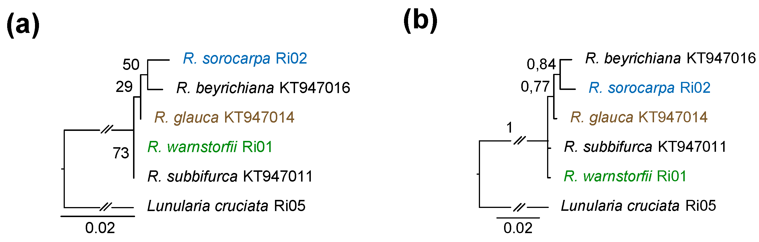 Plants 12 00881 g009 Plants 12 00881 g009