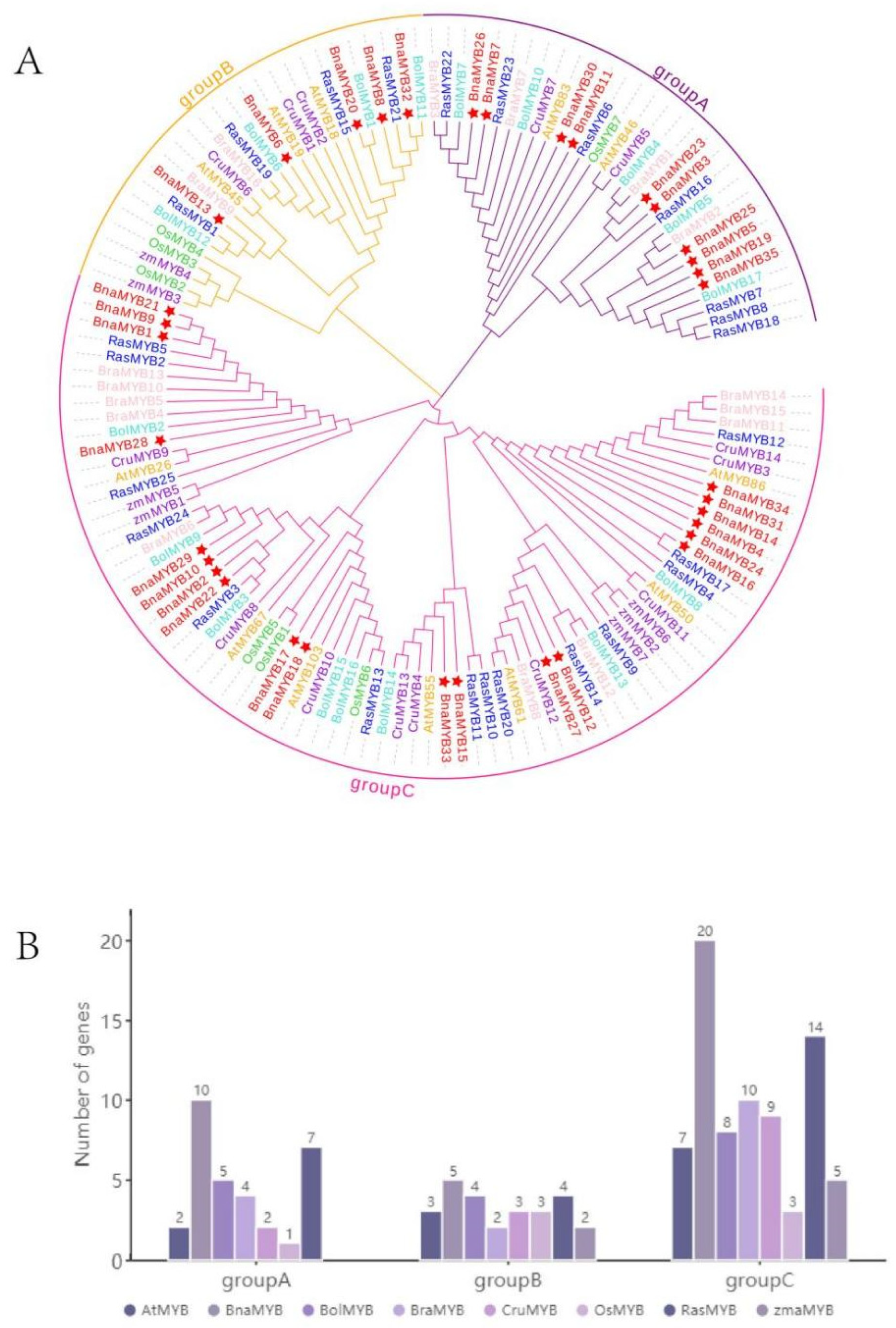 Plants 12 00886 g002 Plants 12 00886 g002
