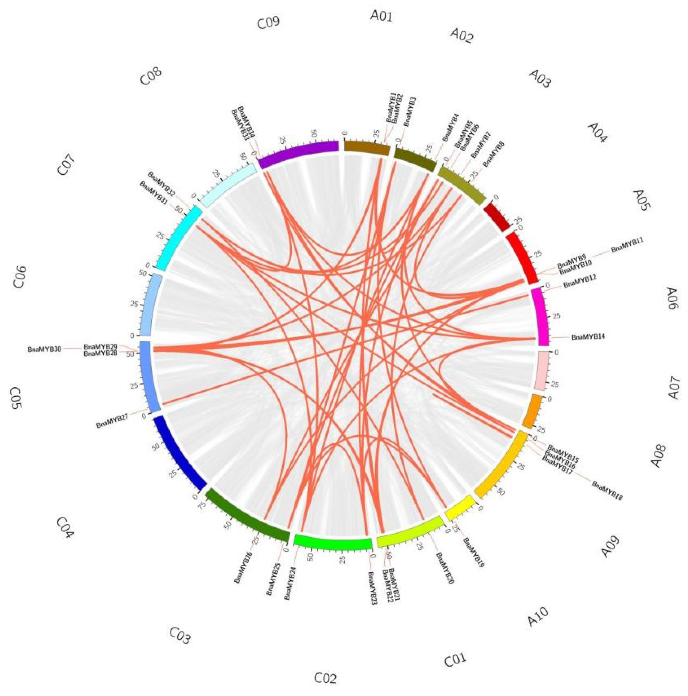 Plants 12 00886 g004 Plants 12 00886 g004