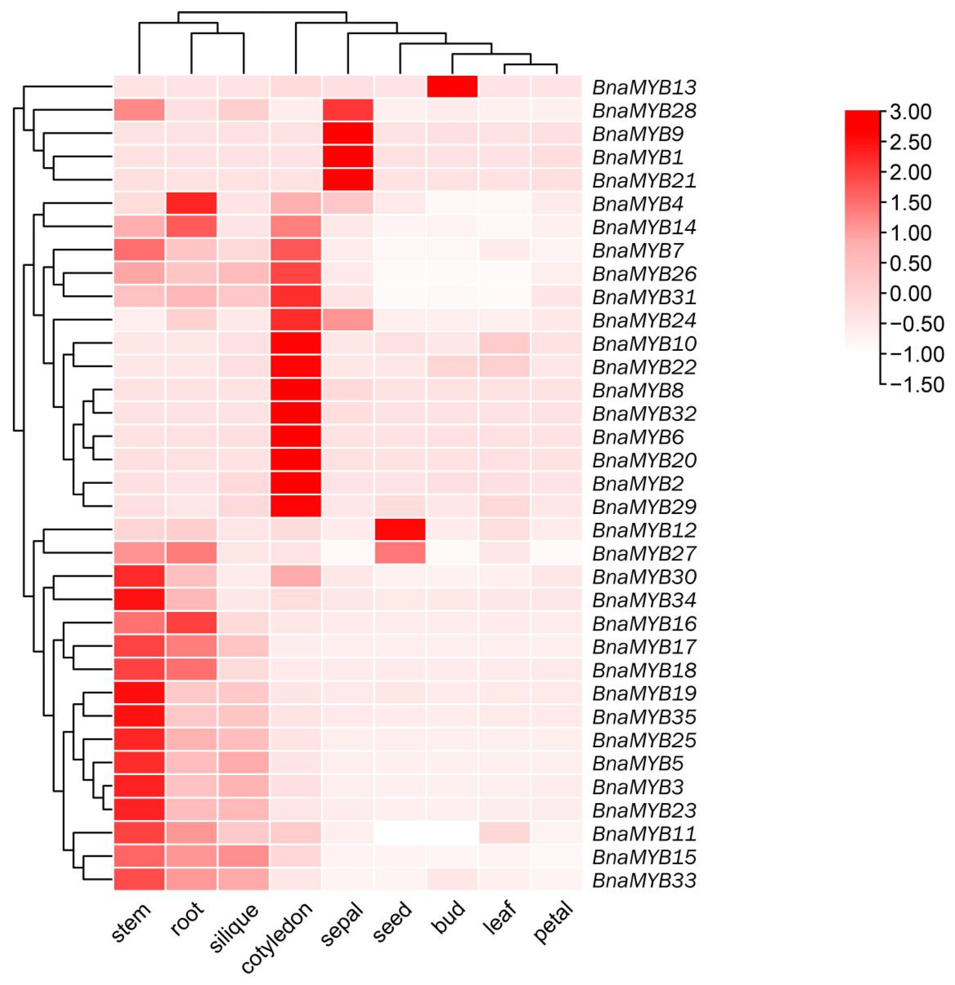 Plants 12 00886 g007 Plants 12 00886 g007