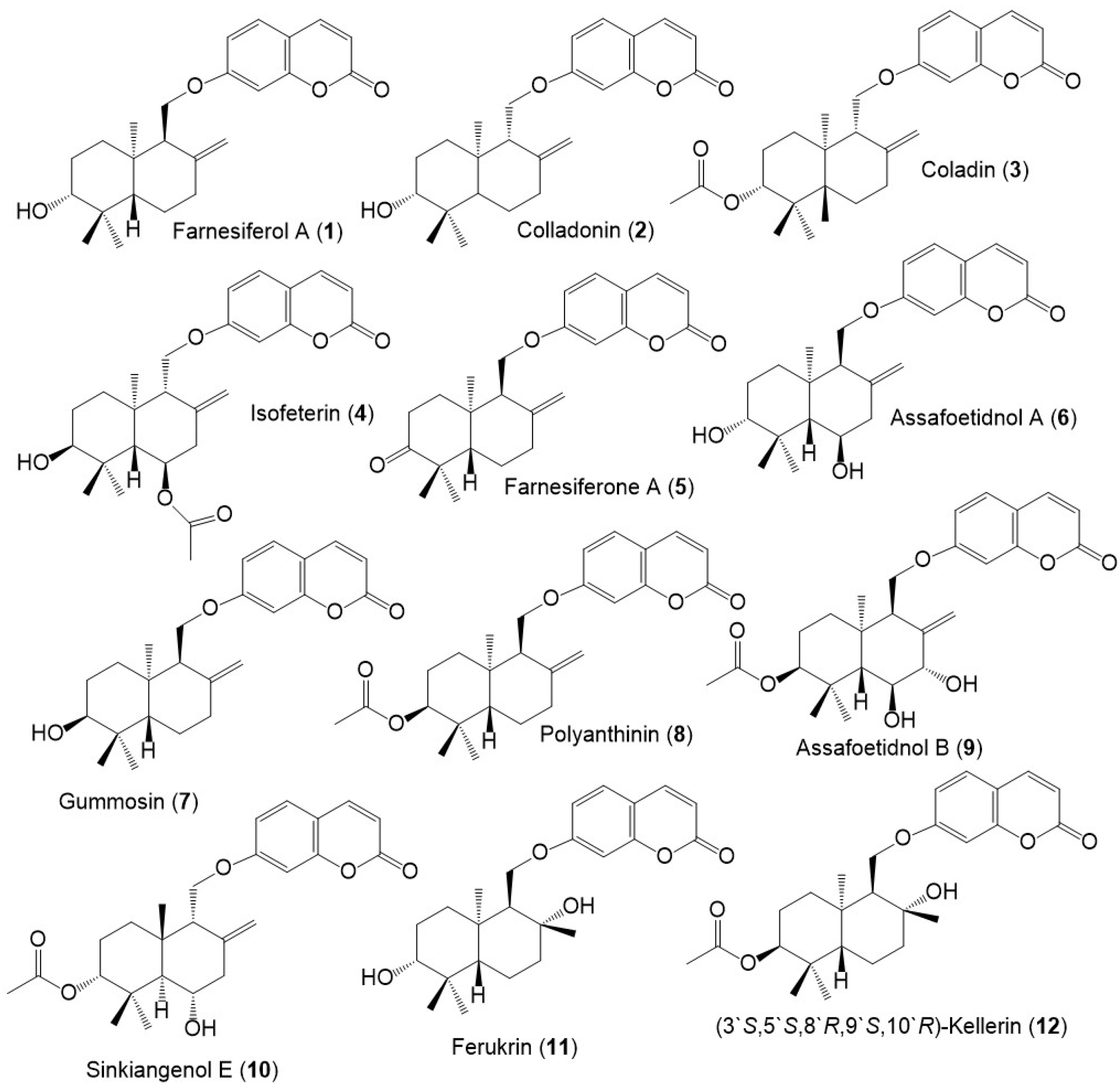 Plants 12 00902 g003 Plants 12 00902 g003