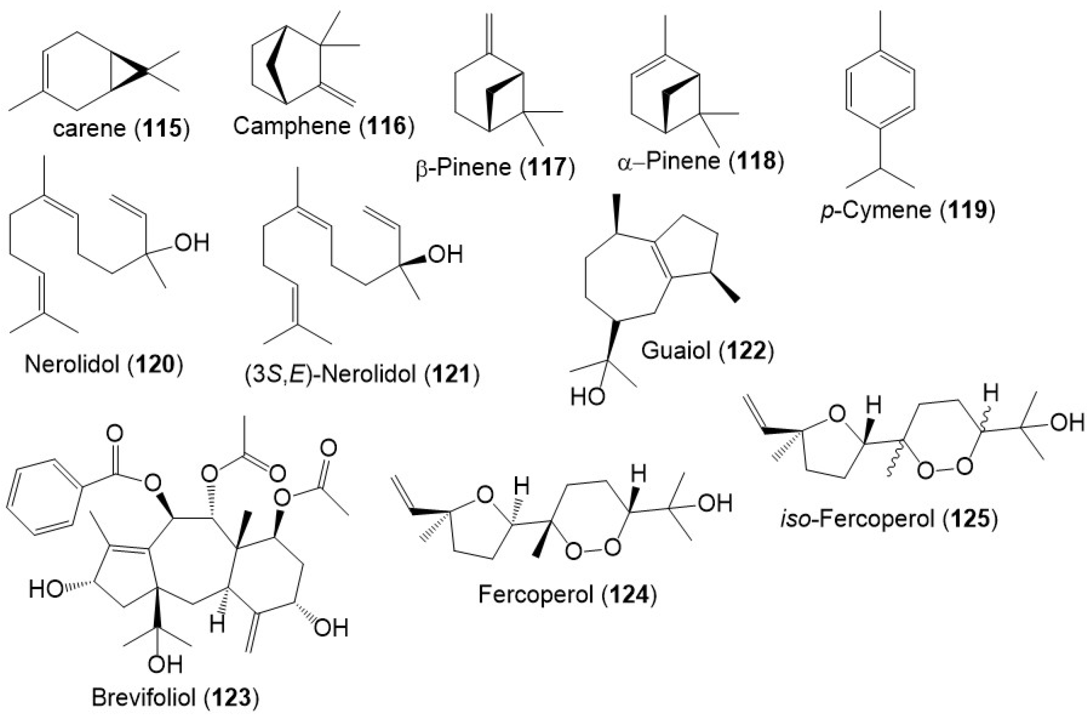 Plants 12 00902 g015 Plants 12 00902 g015