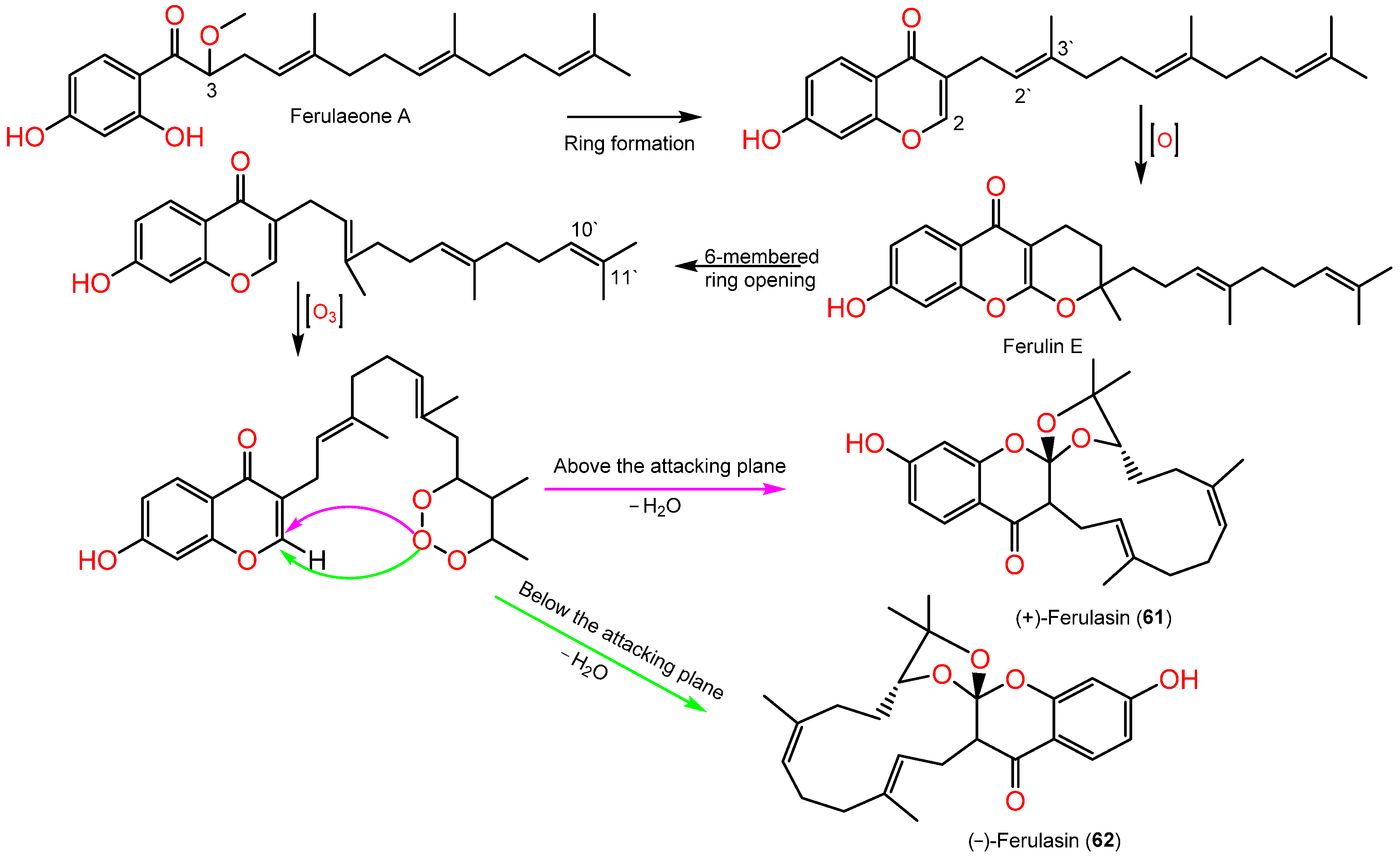 Plants 12 00902 sch001 Plants 12 00902 sch001