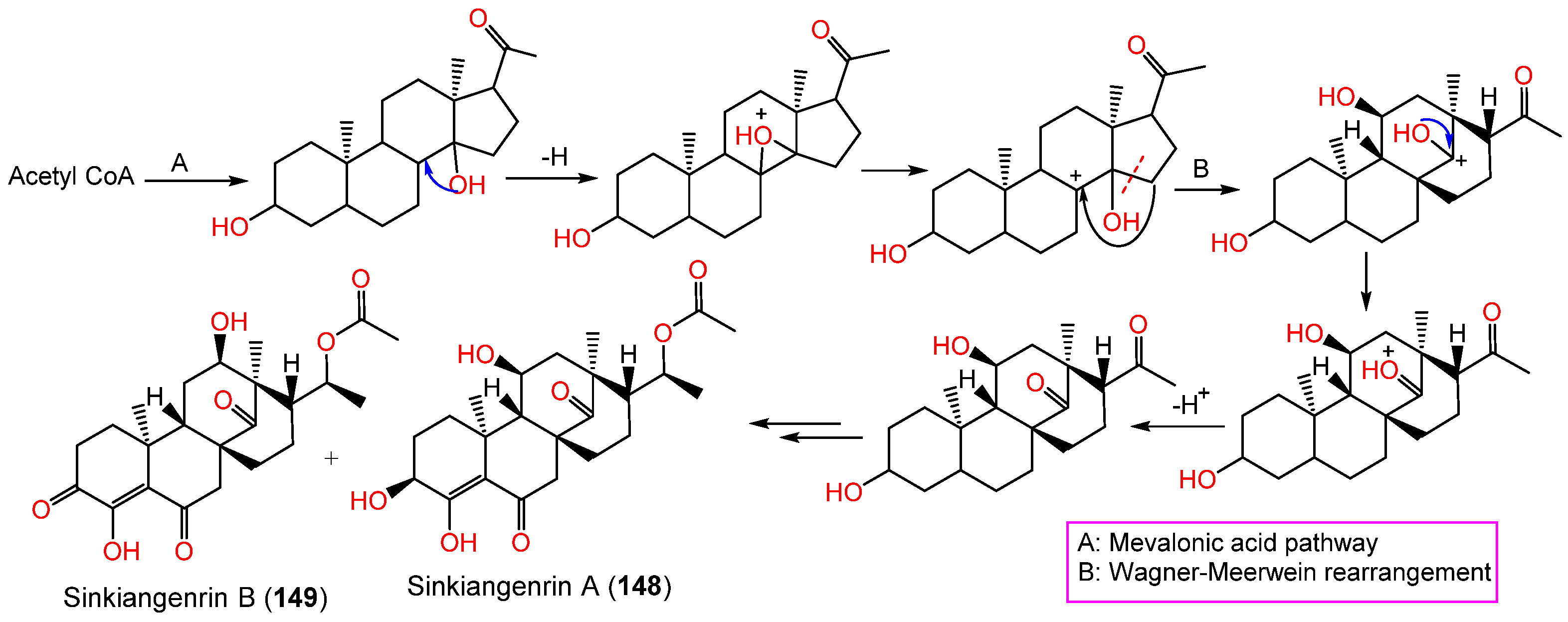 Plants 12 00902 sch003 Plants 12 00902 sch003