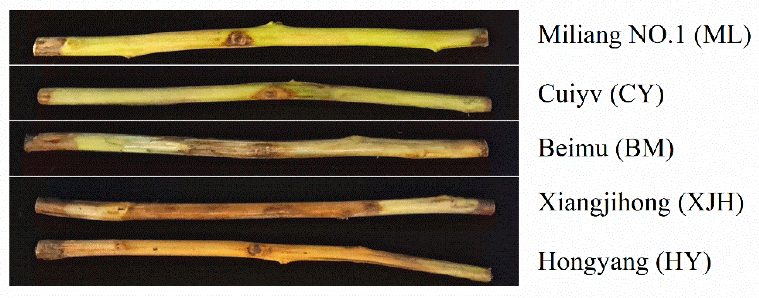 Plants 12 00918 g001