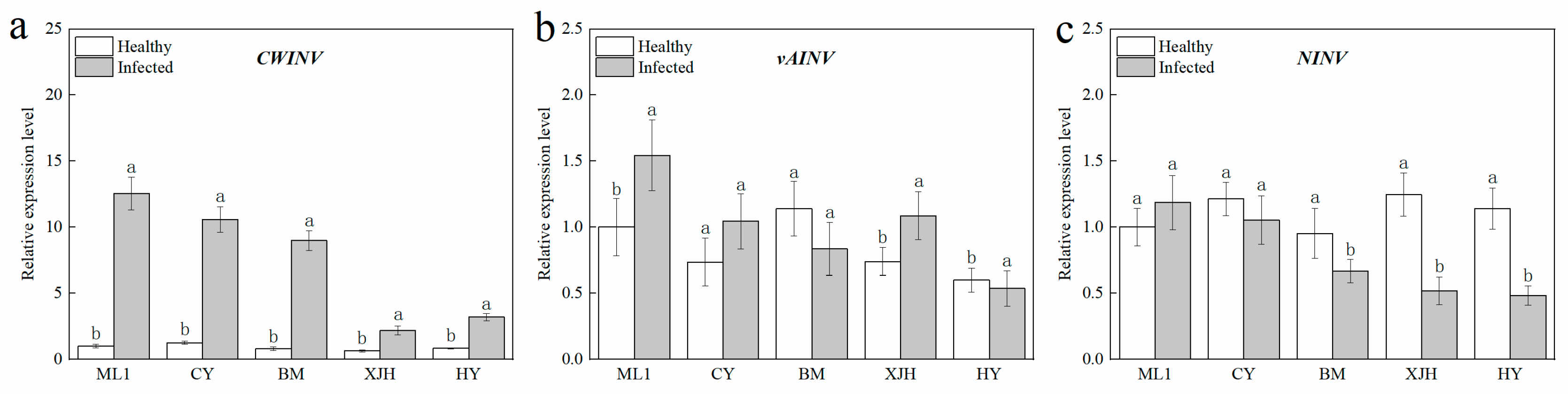 Plants 12 00918 g004