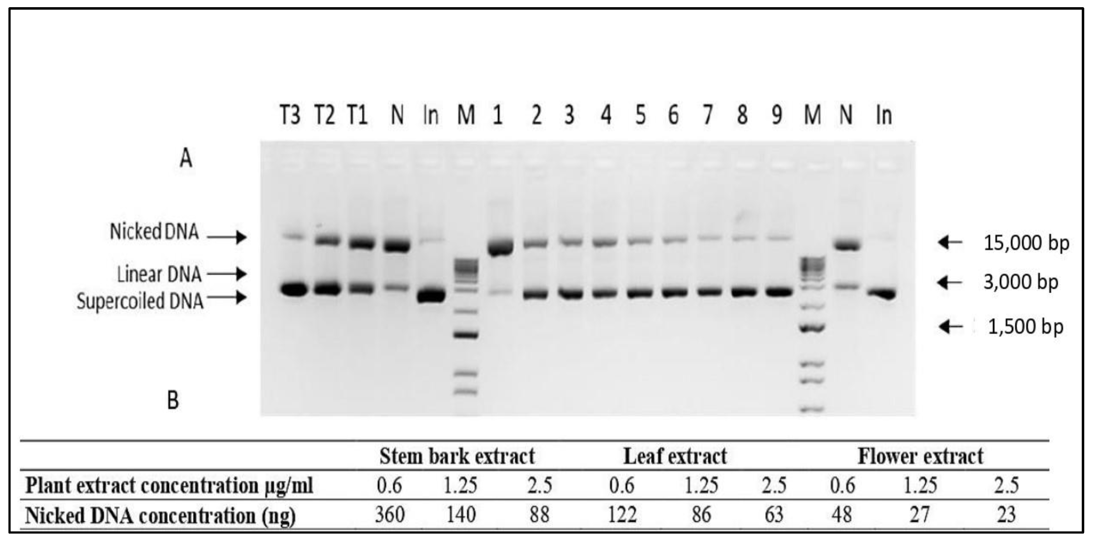 Plants 12 00920 g001 Plants 12 00920 g001