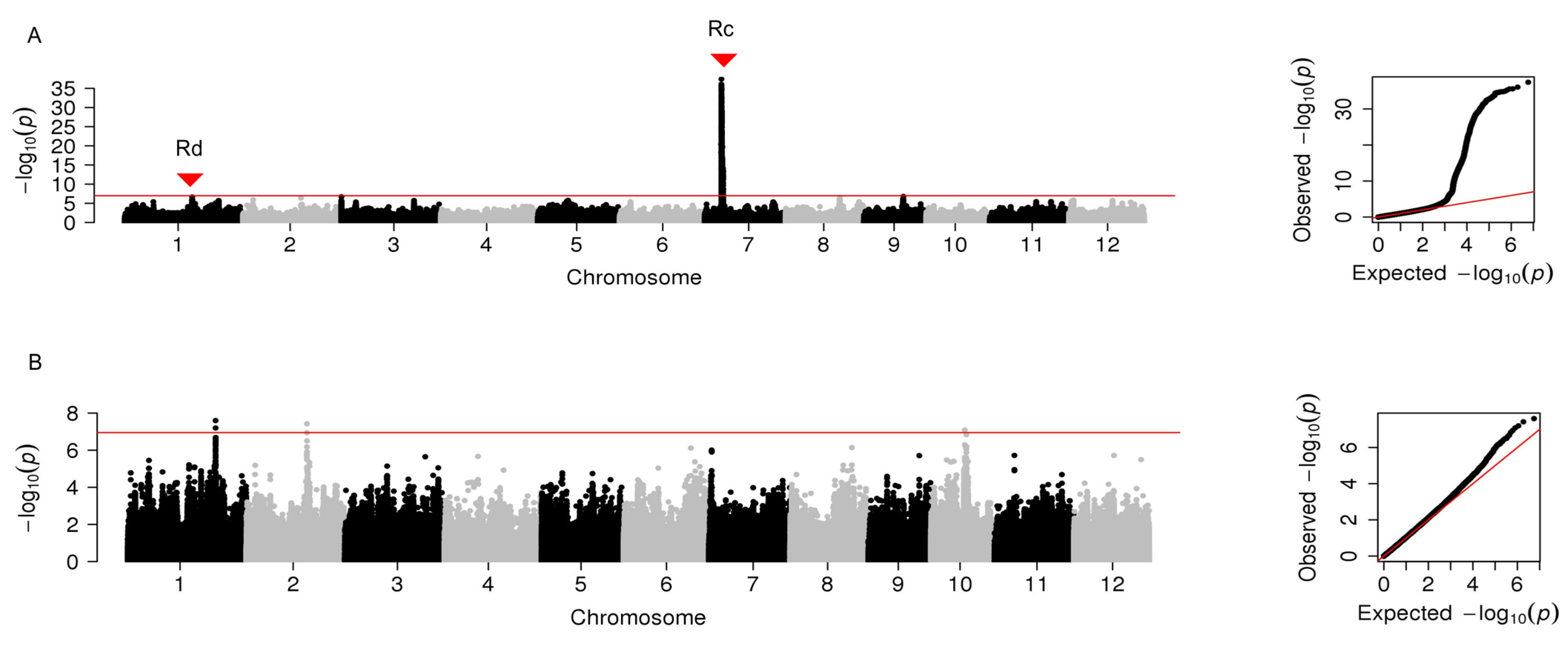 Plants 12 00927 g003