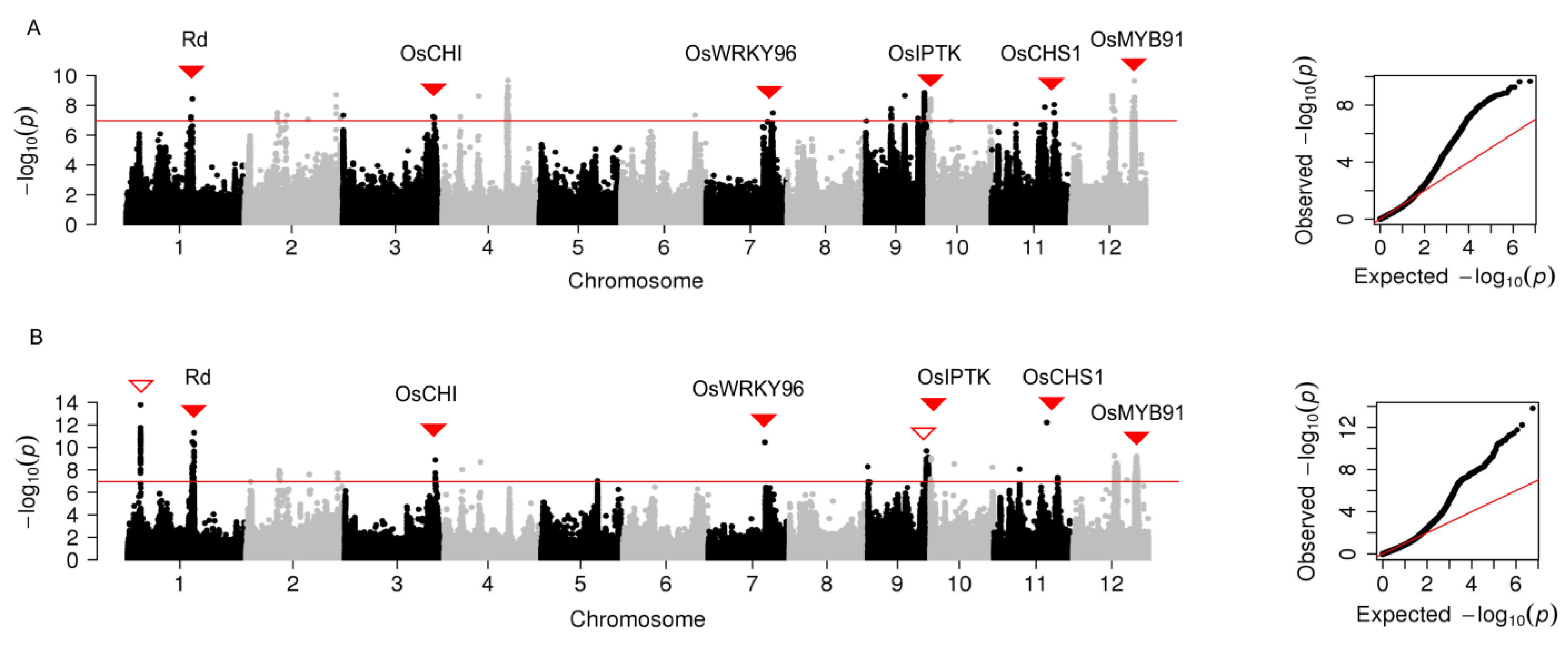 Plants 12 00927 g005
