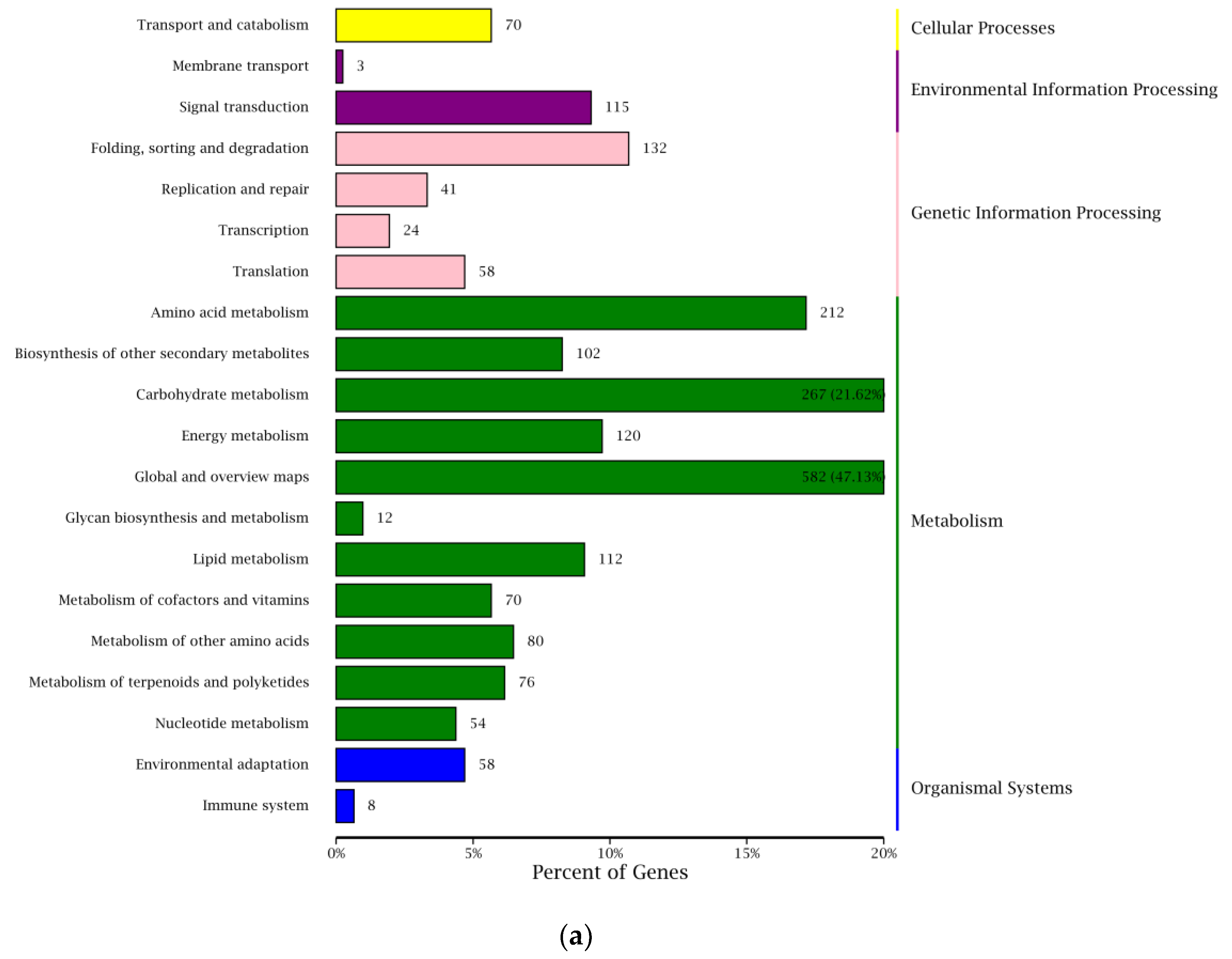 Plants 12 00935 g005a Plants 12 00935 g005a