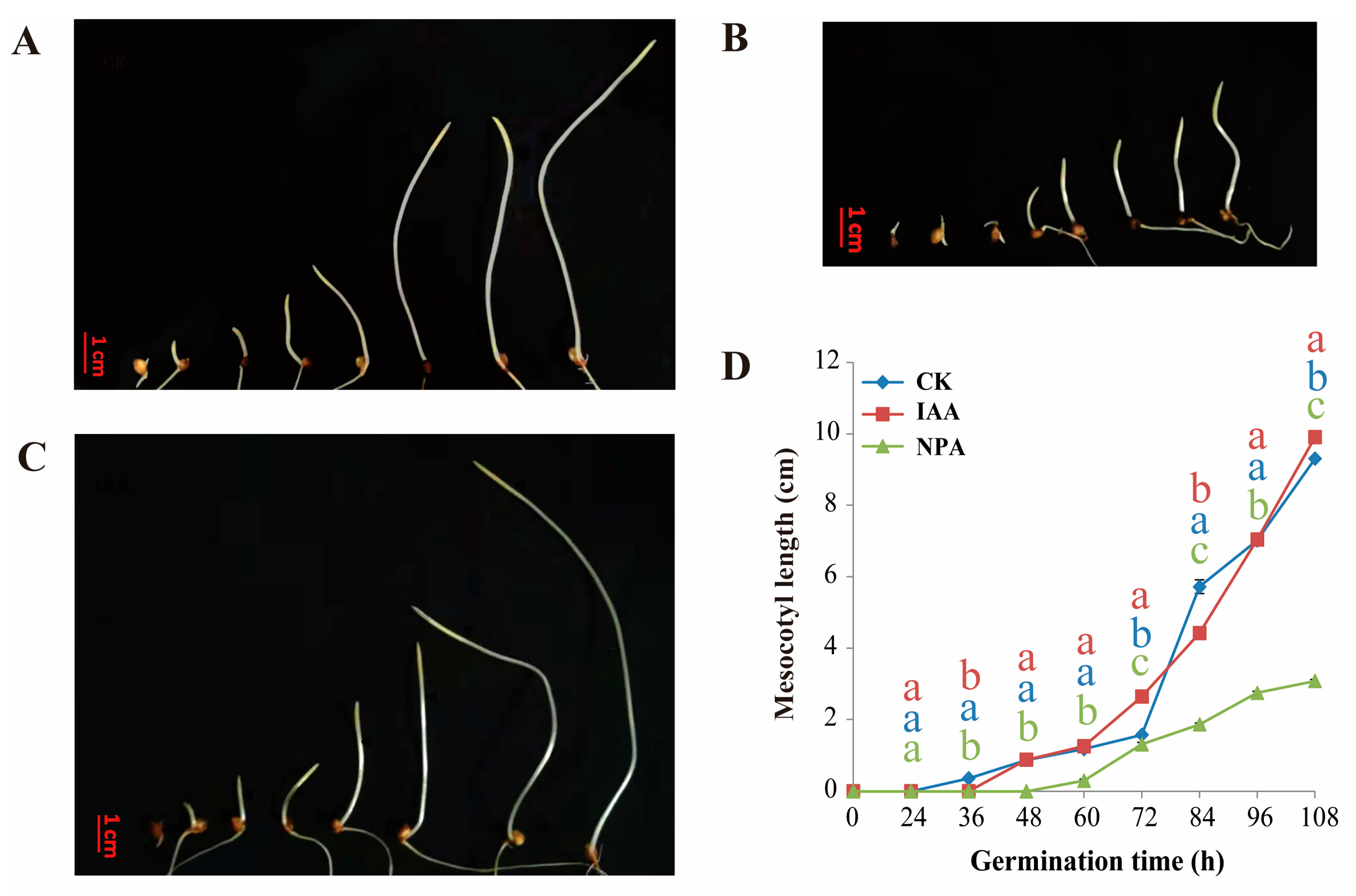 Plants 12 00944 g002