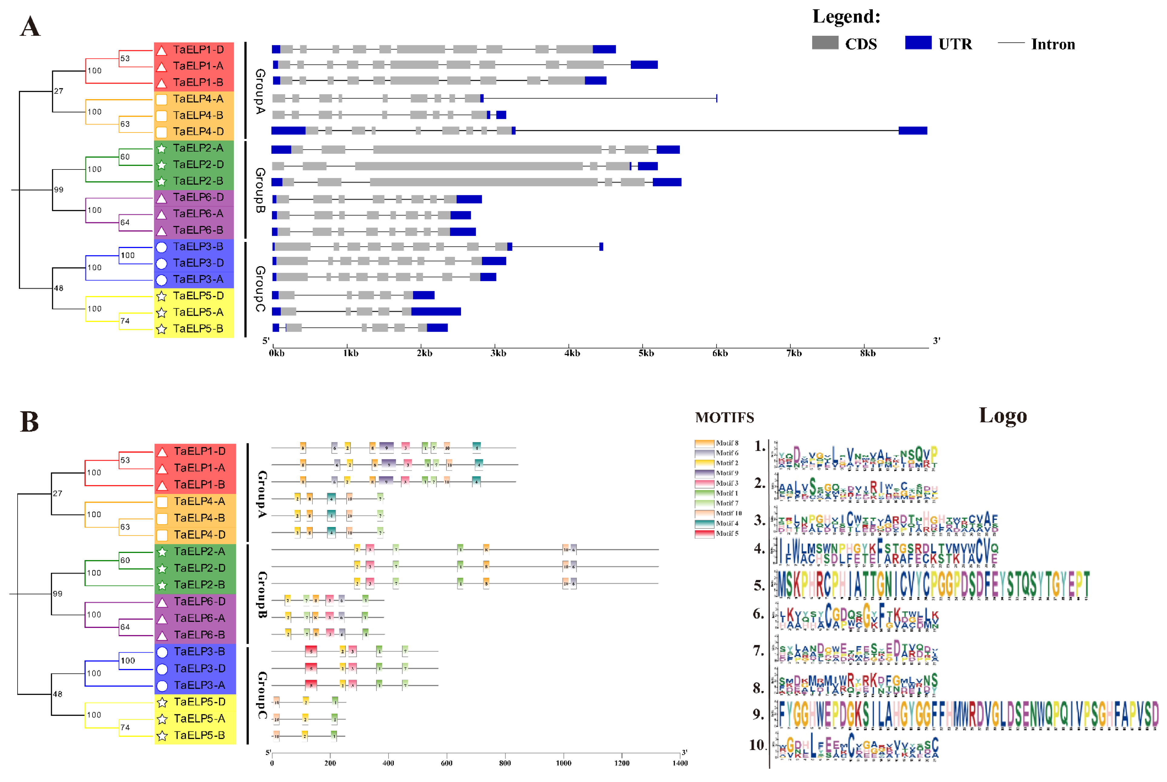 Plants 12 00952 g004