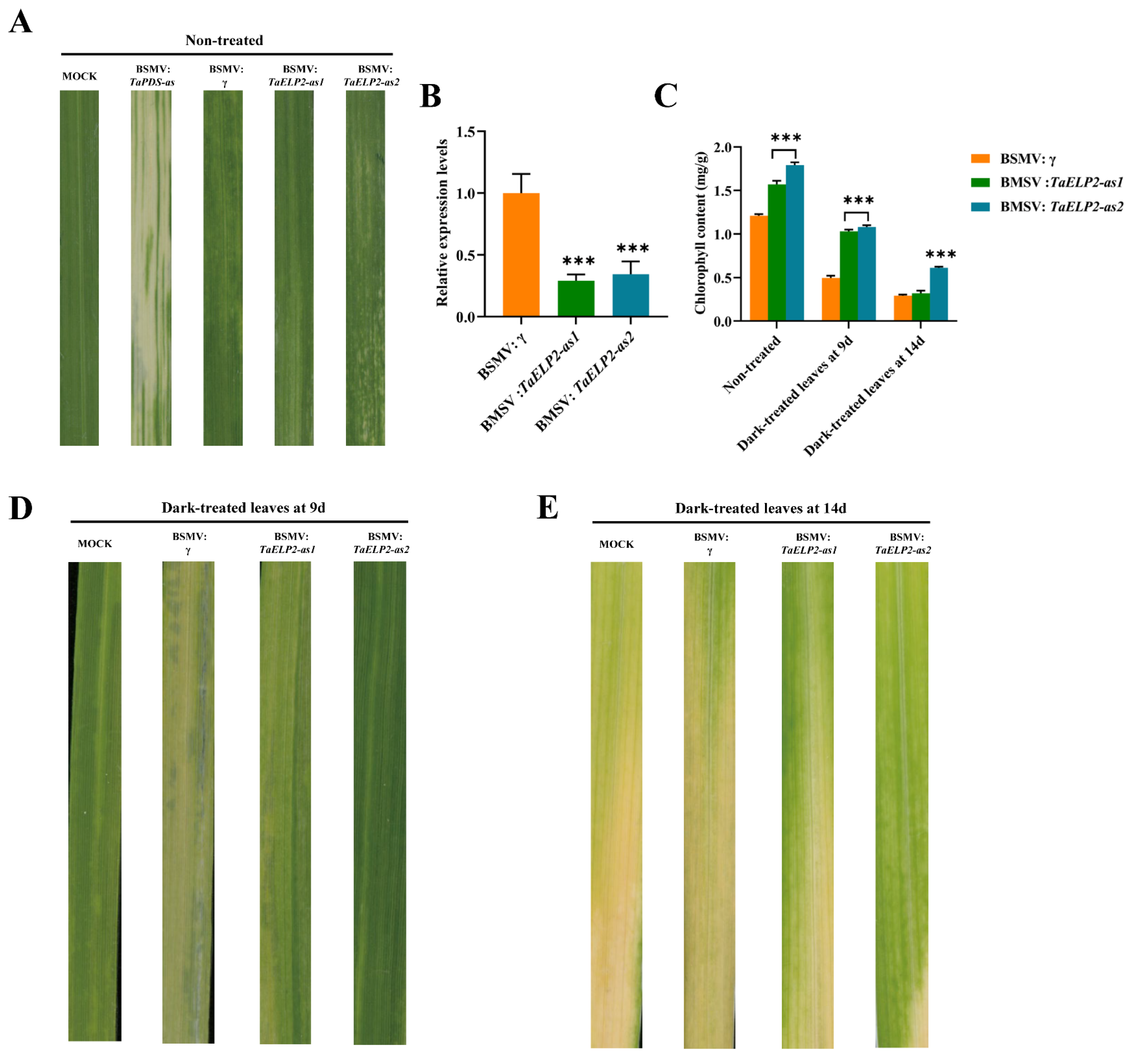 Plants 12 00952 g008