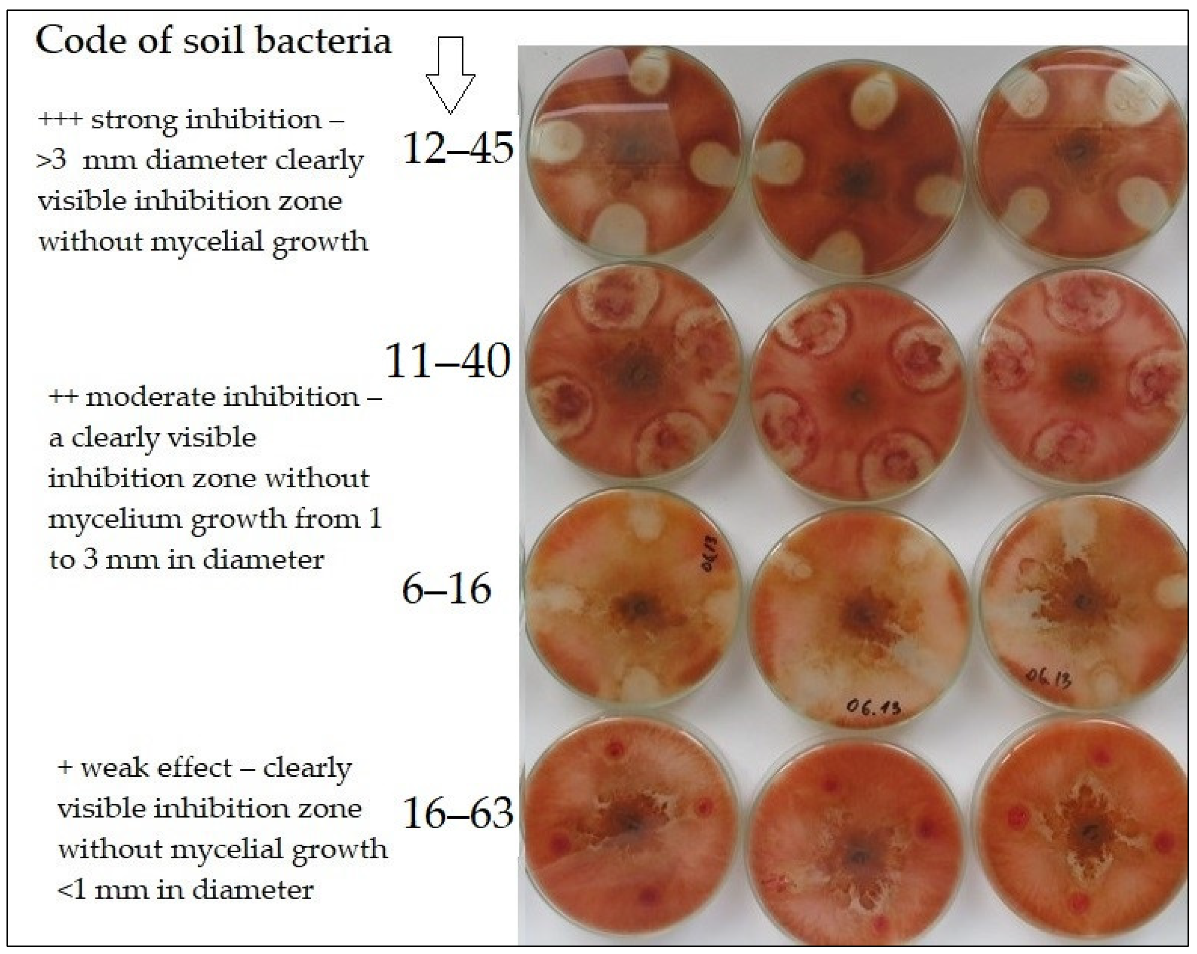Plants 12 00966 g004 Plants 12 00966 g004