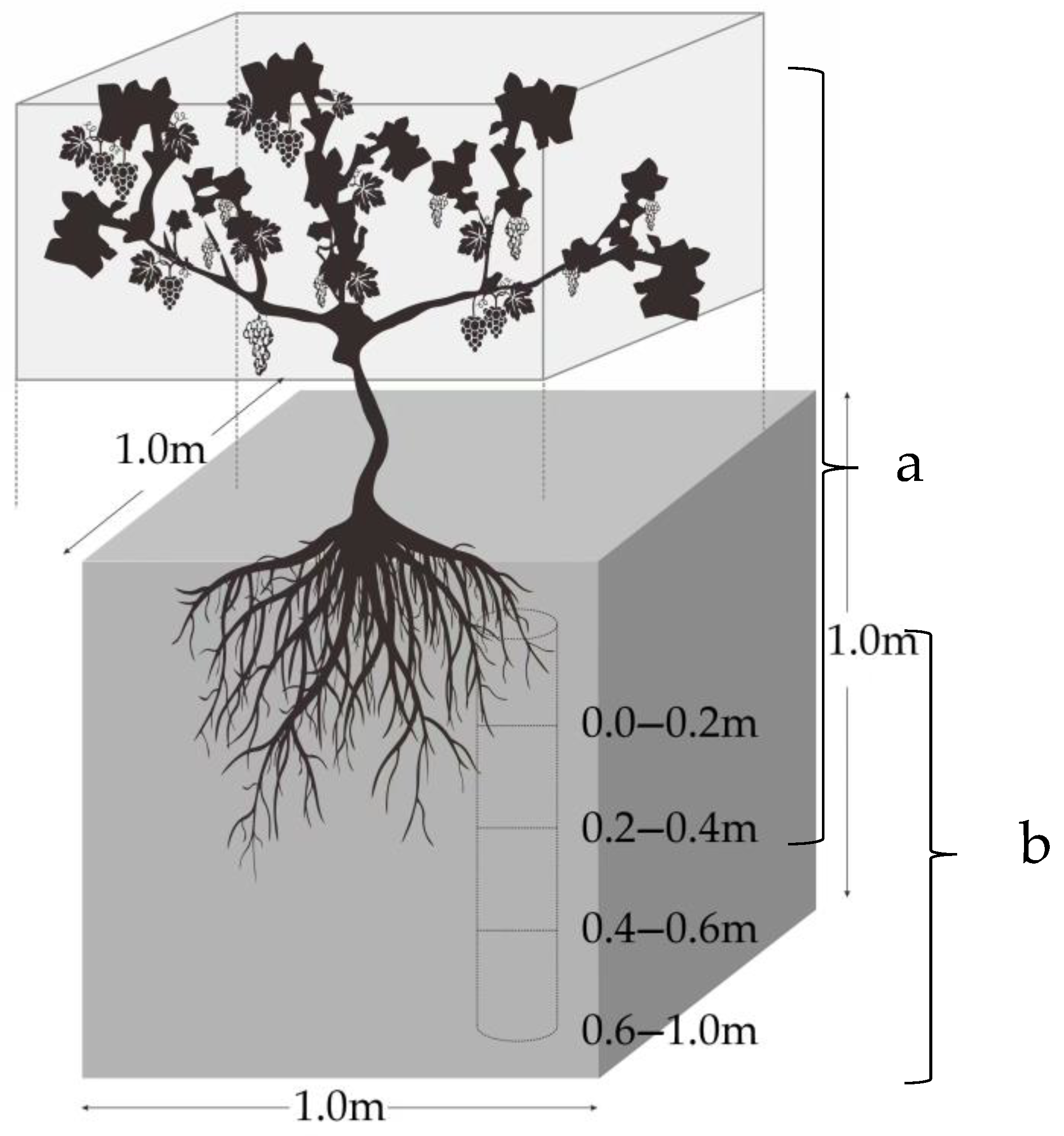Plants 12 00997 g002