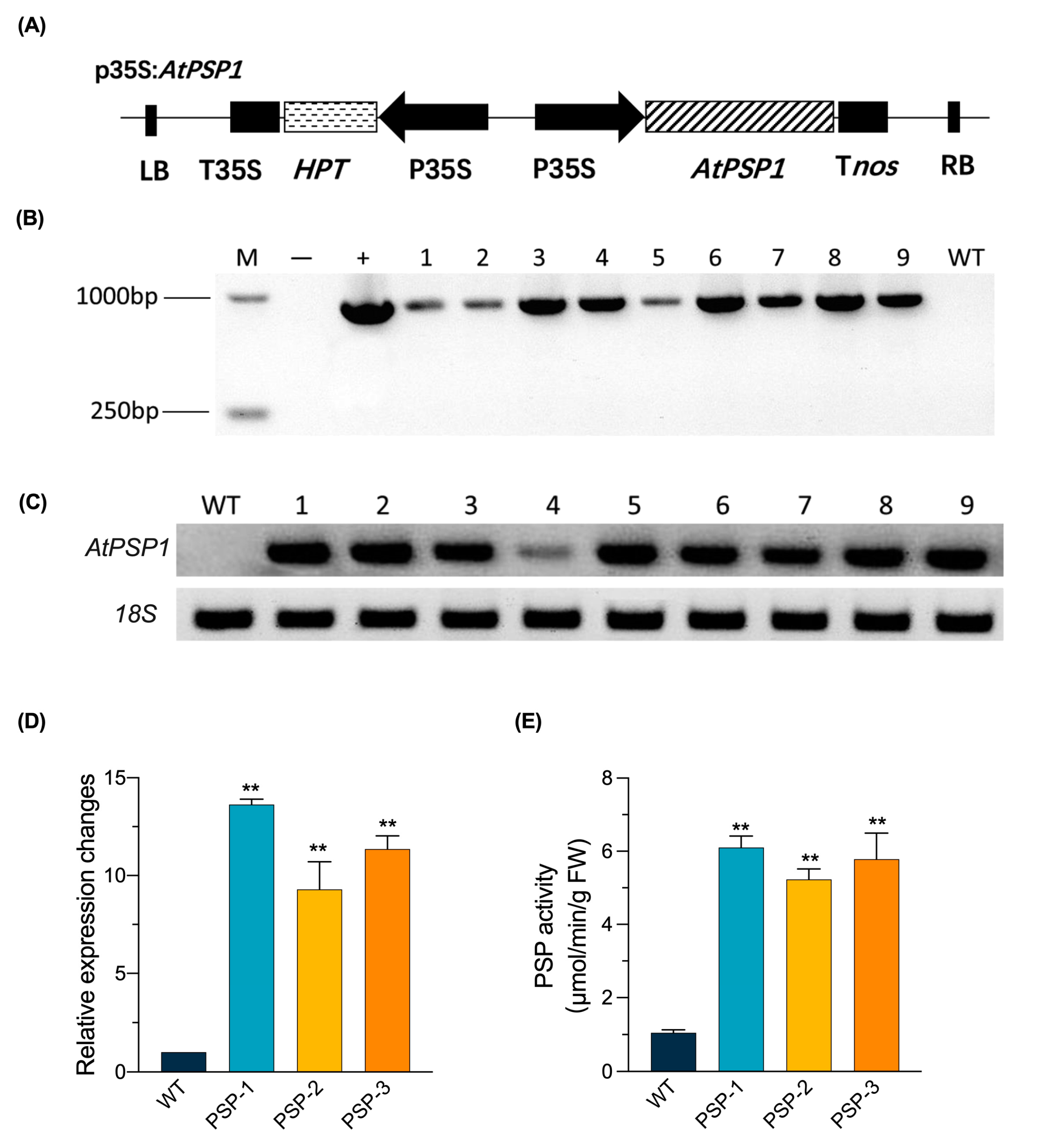 Plants 12 01012 g001 Plants 12 01012 g001