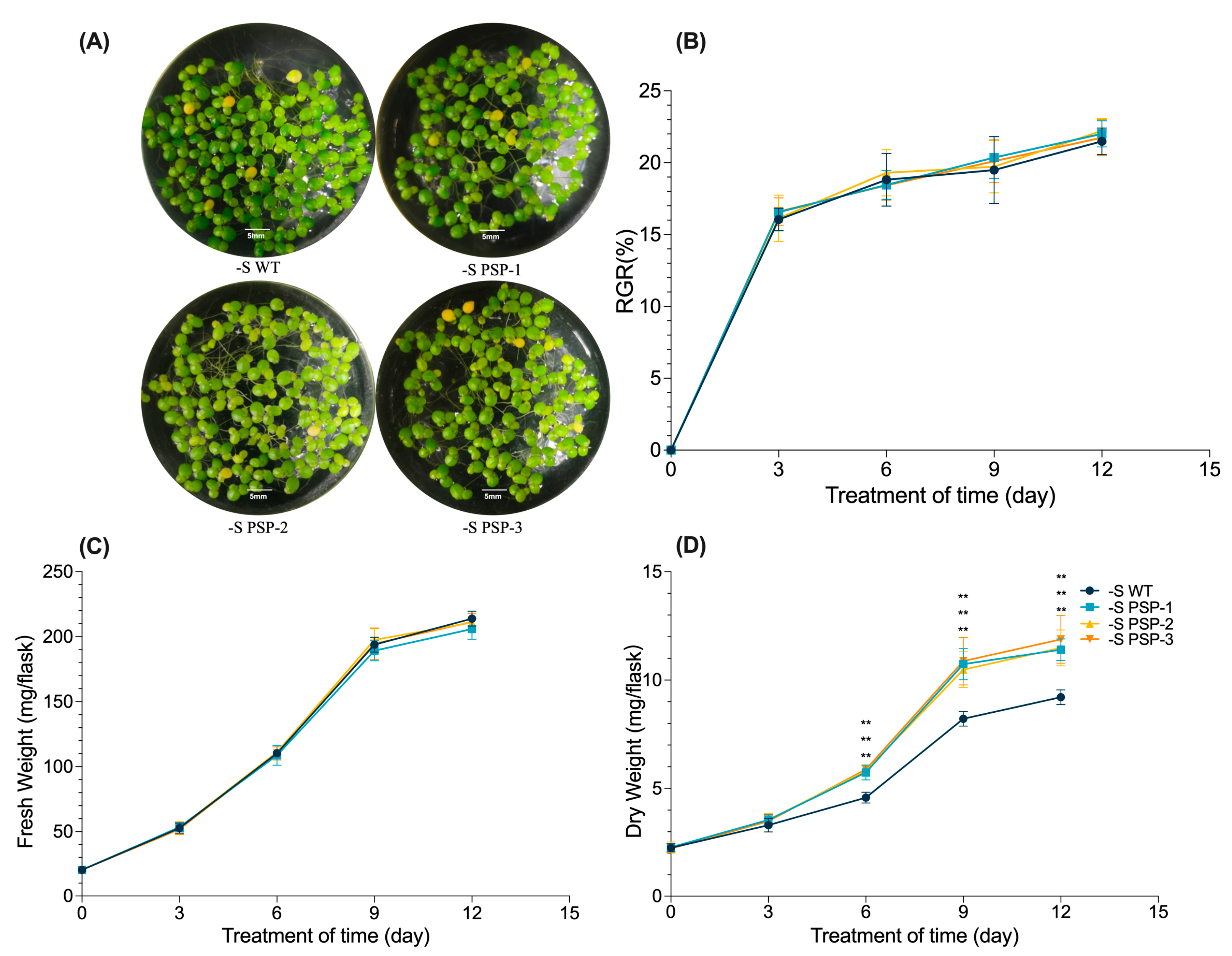 Plants 12 01012 g002 Plants 12 01012 g002