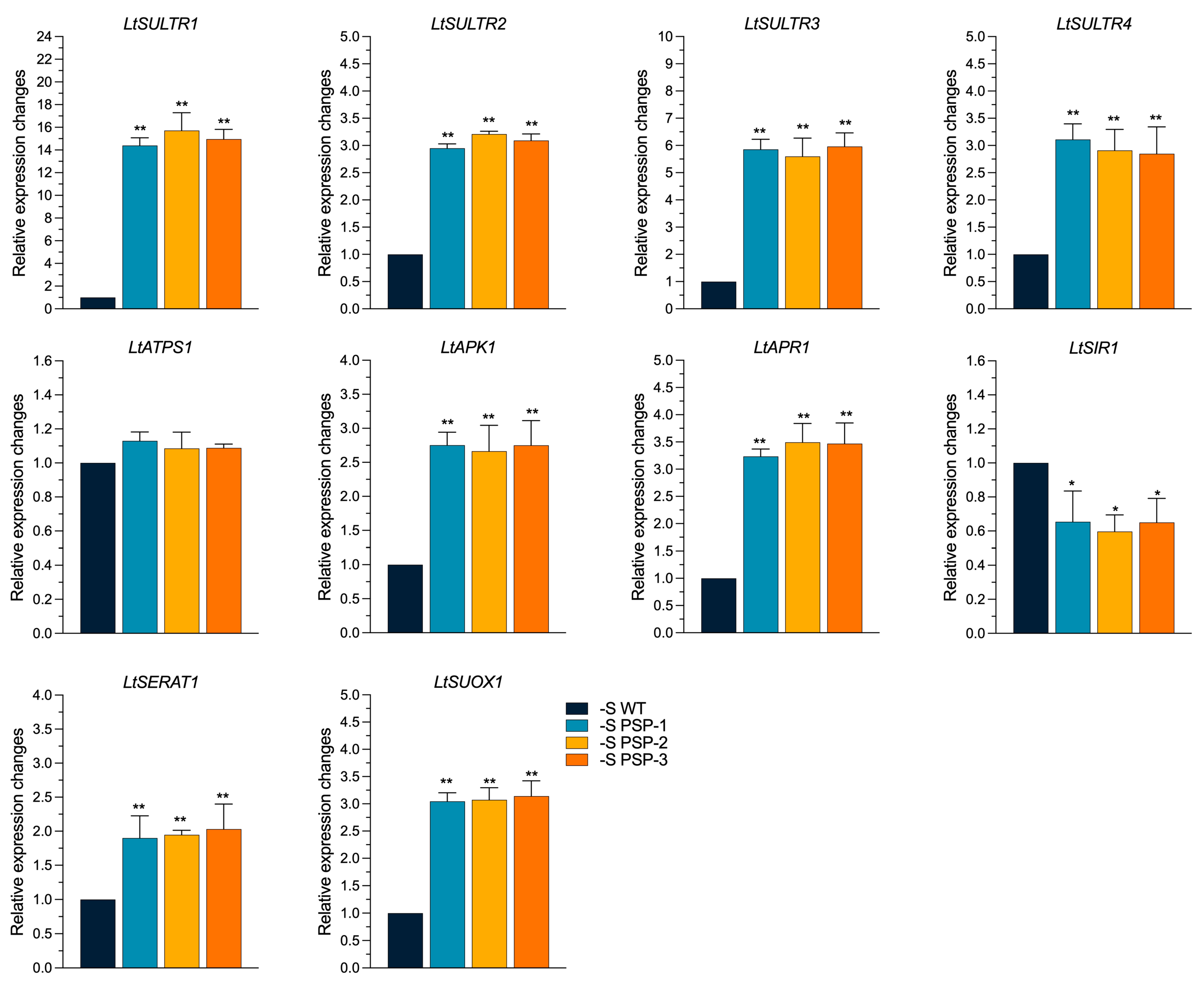 Plants 12 01012 g005 Plants 12 01012 g005