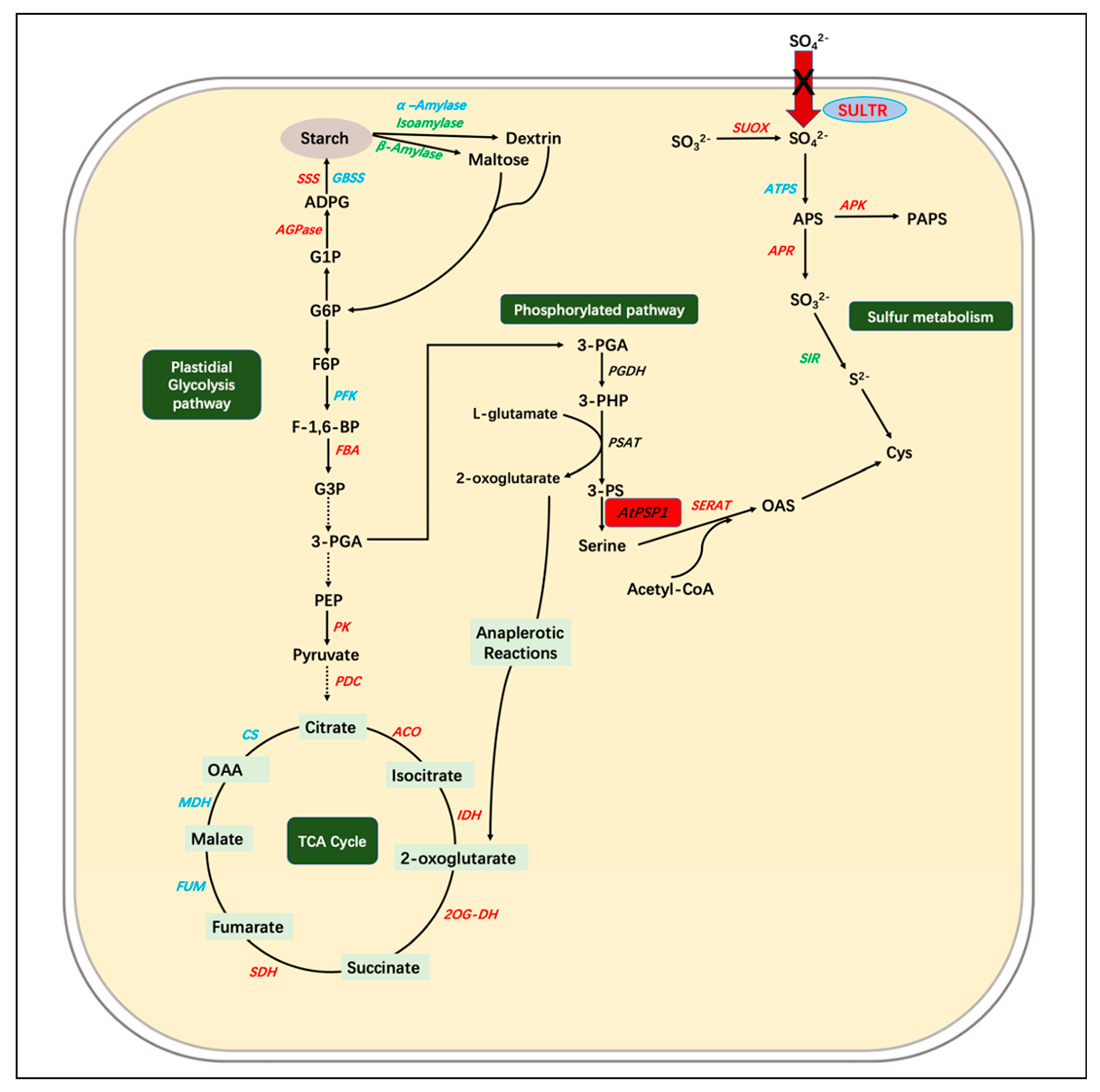 Plants 12 01012 g008 Plants 12 01012 g008