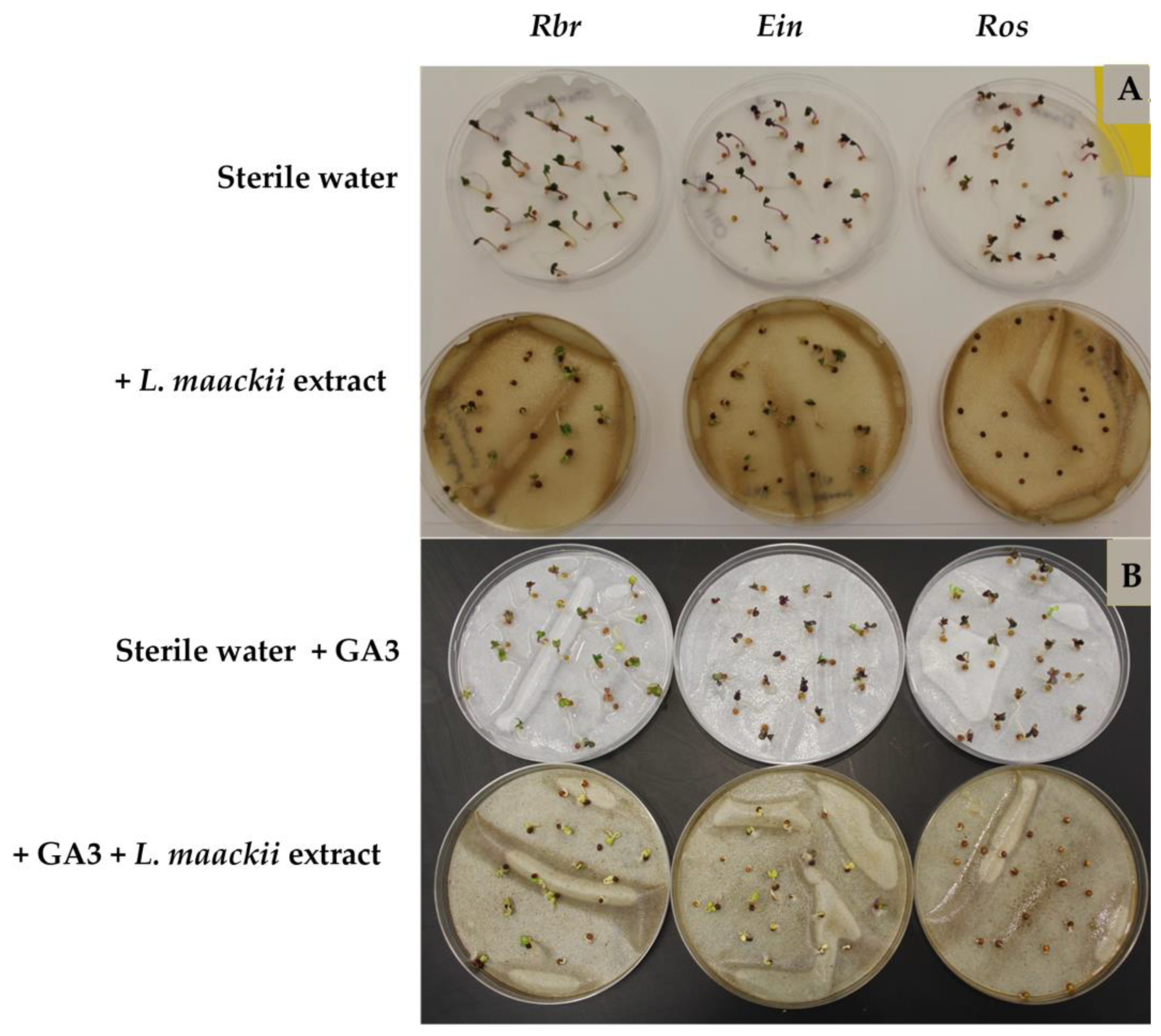 Plants 12 01014 g004