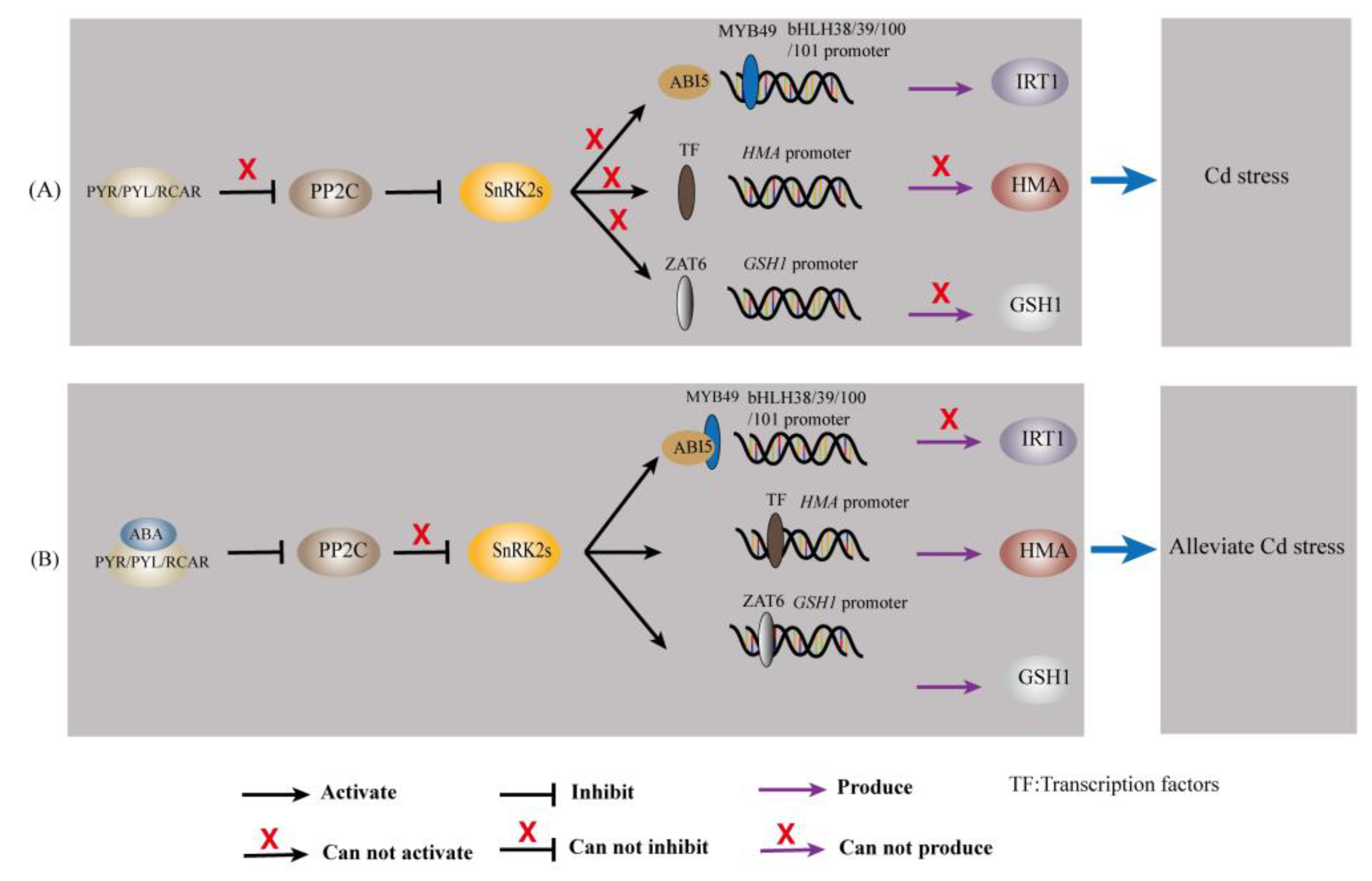 Plants 12 01023 g003
