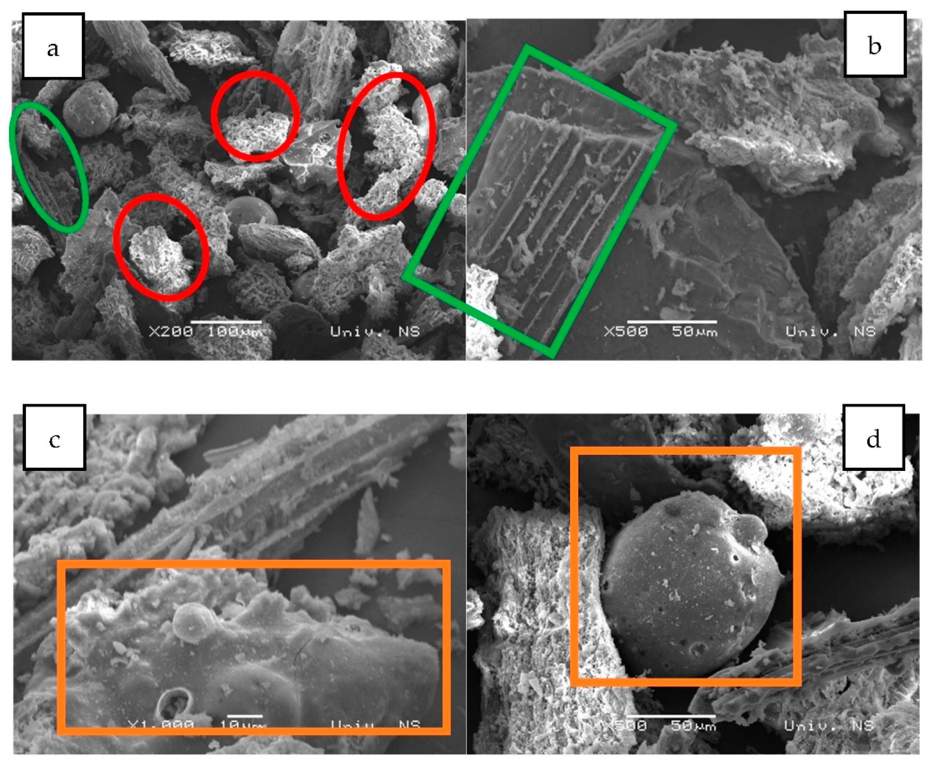 Plants 12 01024 g004 Plants 12 01024 g004