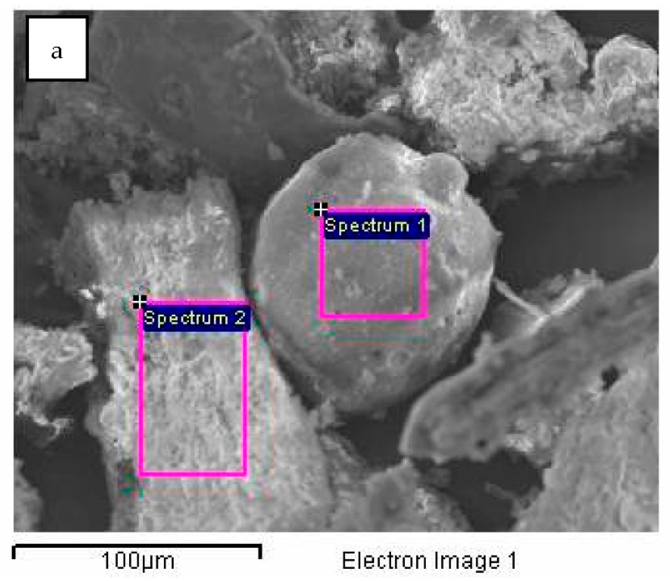 Plants 12 01024 g005a Plants 12 01024 g005a