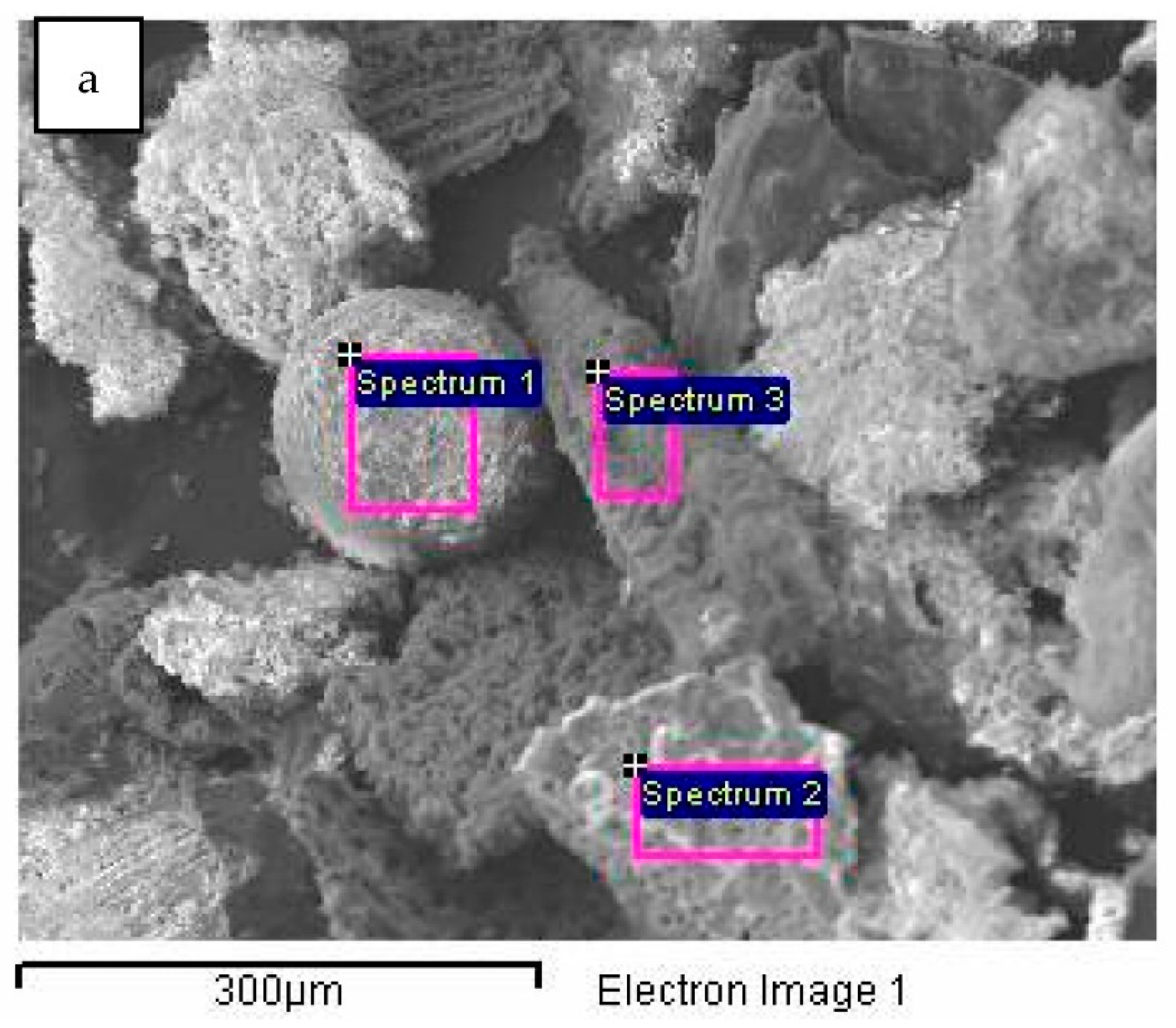Plants 12 01024 g007a Plants 12 01024 g007a