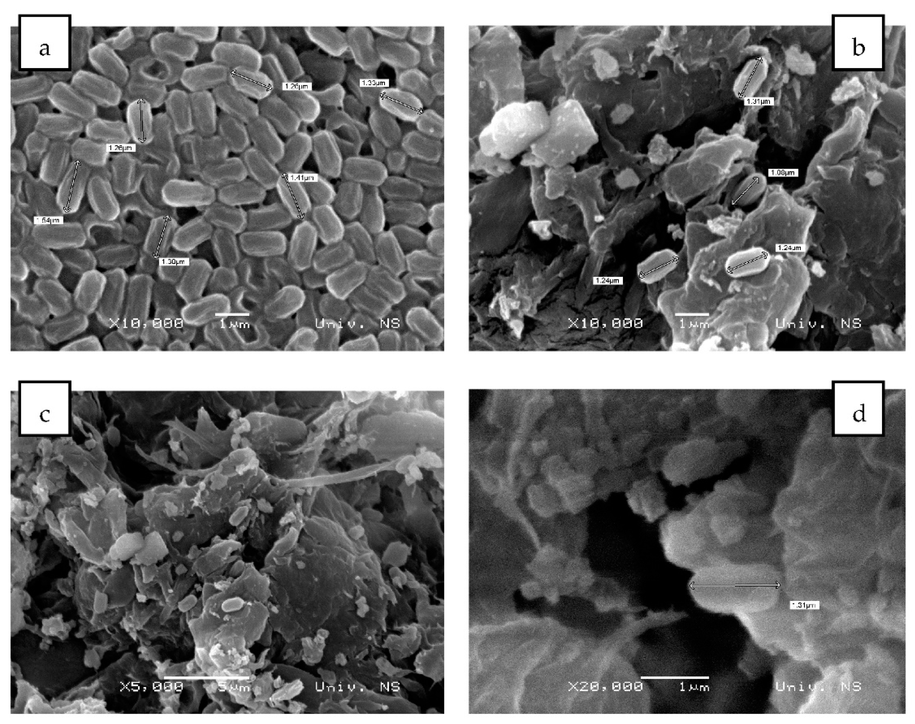 Plants 12 01024 g010 Plants 12 01024 g010