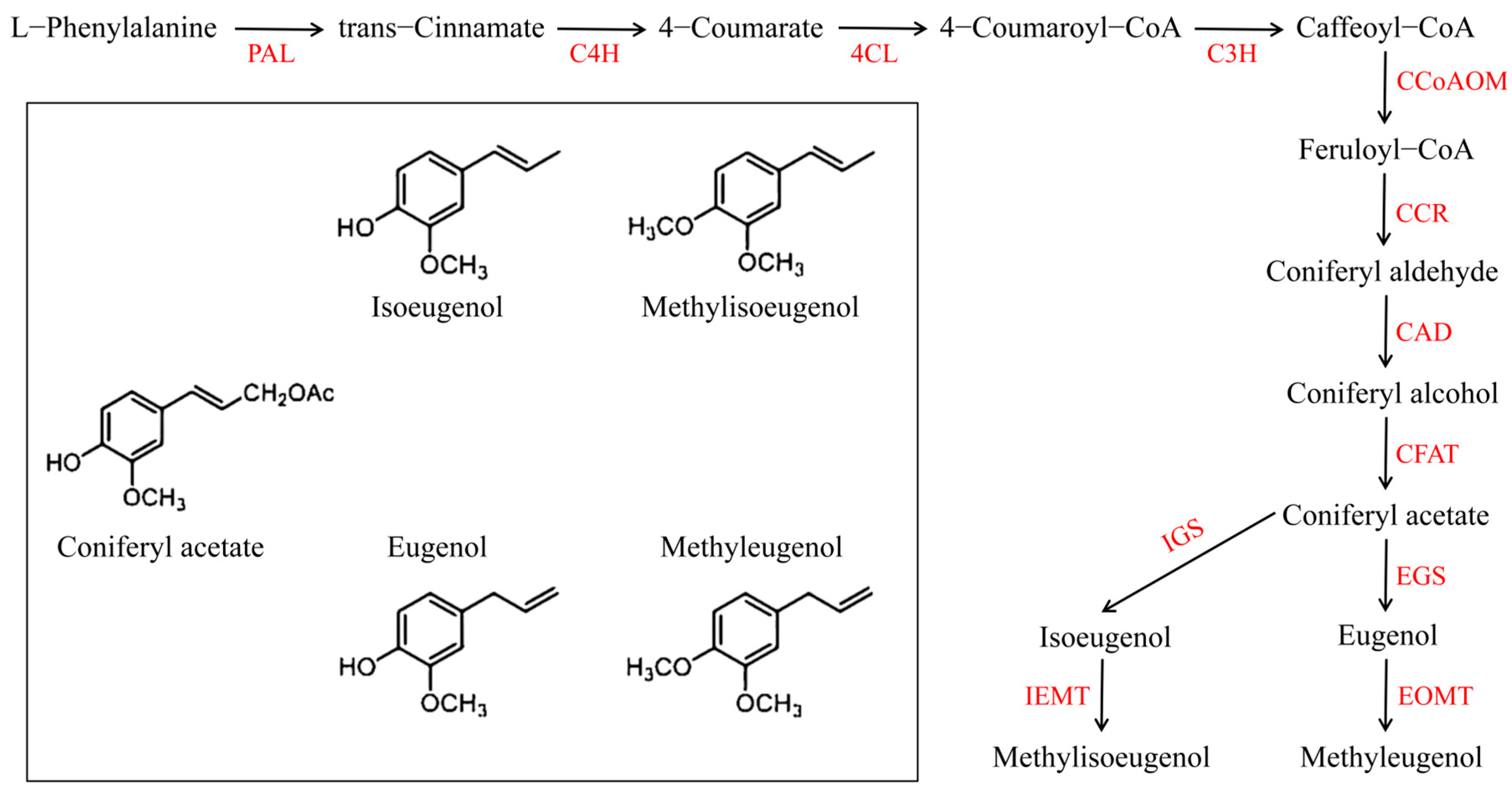Plants 12 01026 g001